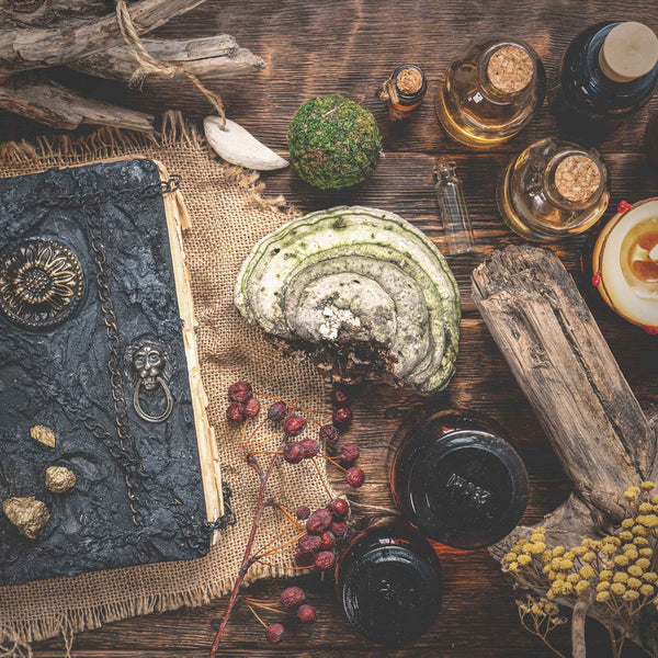 From Whimsical Monsters to Modern Truths: 6 New Reads to Ponder