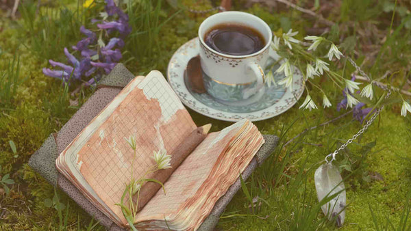 The Thaw: A Highland Bridge to Spring