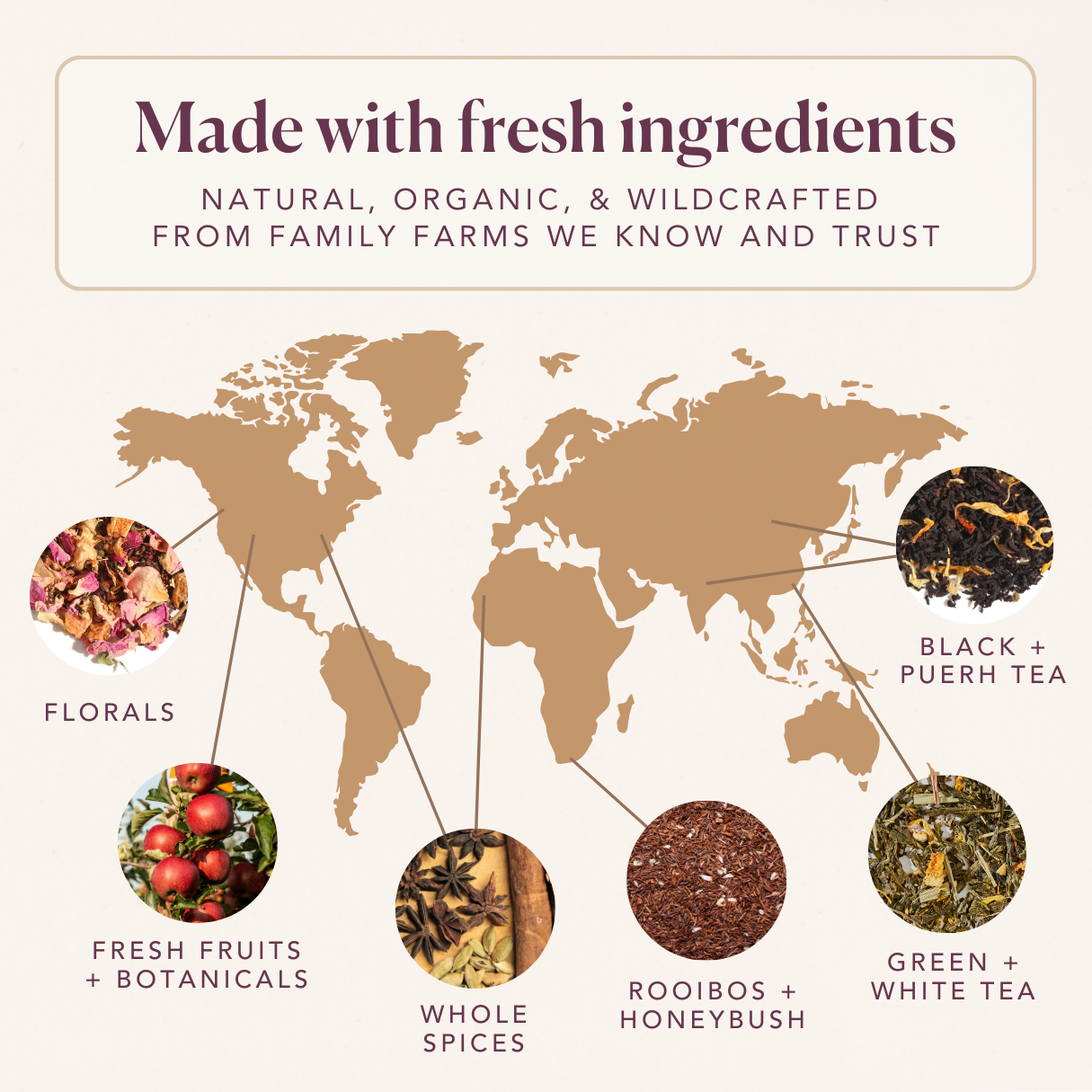 Plum Deluxe Tea - Peach Bellini Herbal Tea - Fruity Loose Leaf Tea: 1 oz