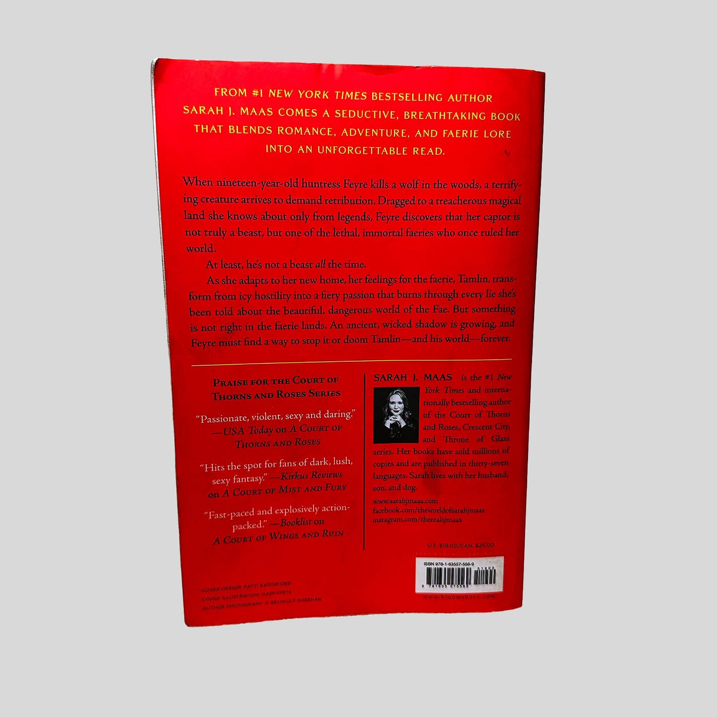 A Court of Thorns and Roses - Back Cover - Fehmerling Books