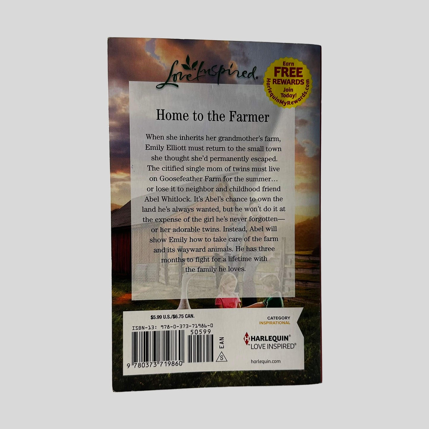 A Family for the Farmer by Laurel Bount - Back Cover - Fehmerling Books