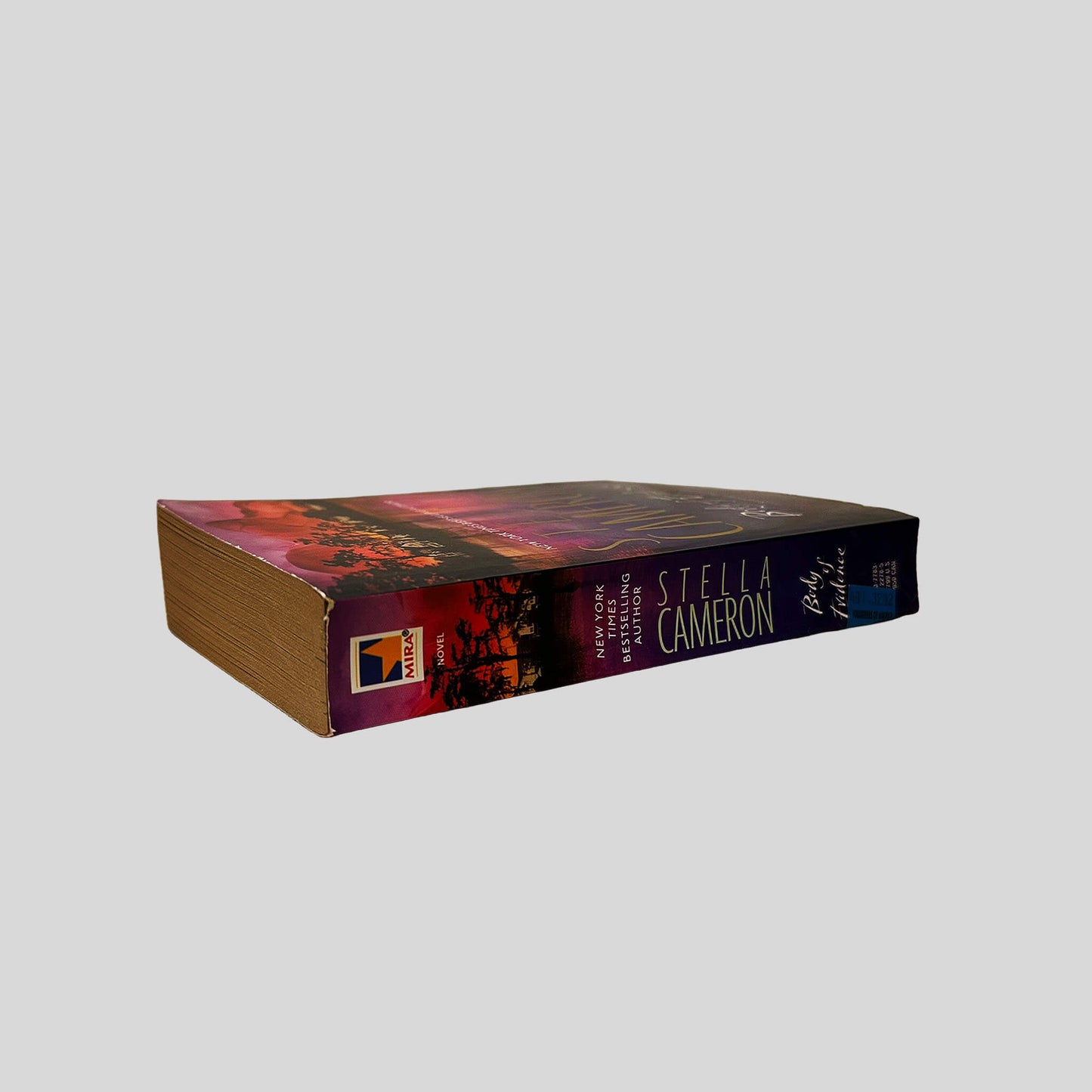 Body of Evidence by Stella Cameron - Spine - Fehmerling Books