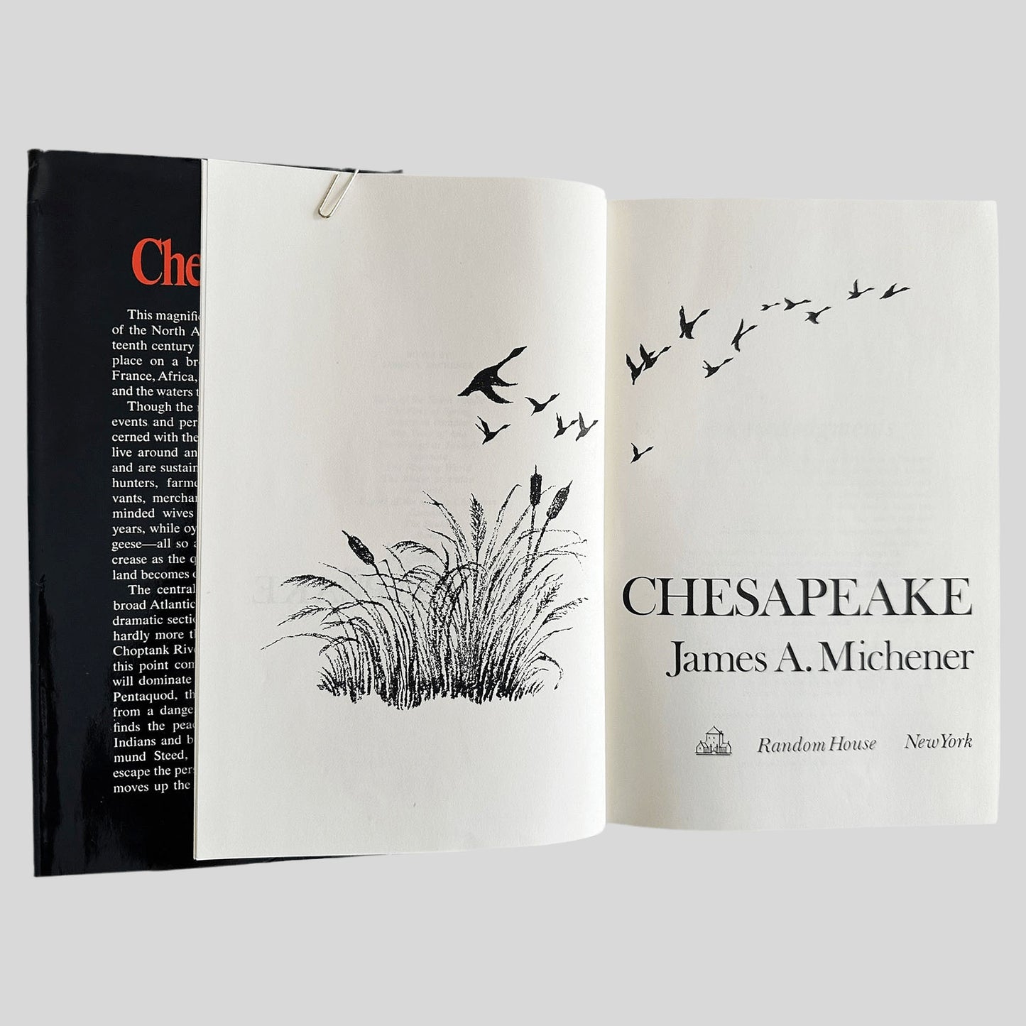 Chesapeake by James A. Michener