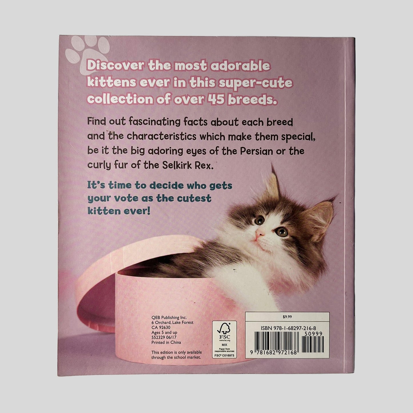Cutest Kittens Ever by Anna Claybourne - Back Cover - Fehmerling Books