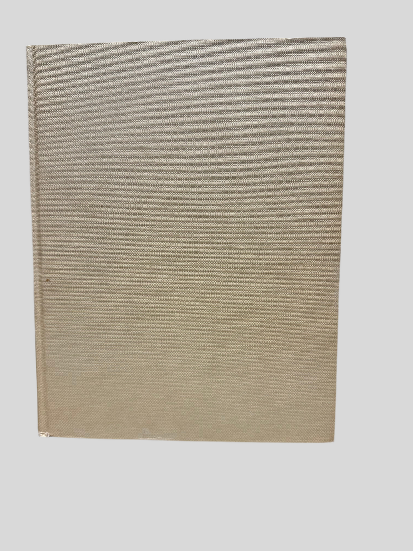 The Story of Painting by Sister Wendy Beckett & Patricia Wright - Front Cover