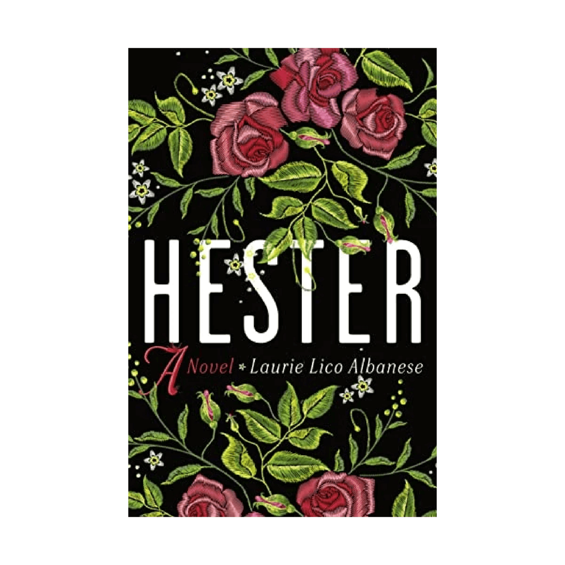 Hester by Laurie Lico Albanese - Stock Front Cover - Fehmerling Books