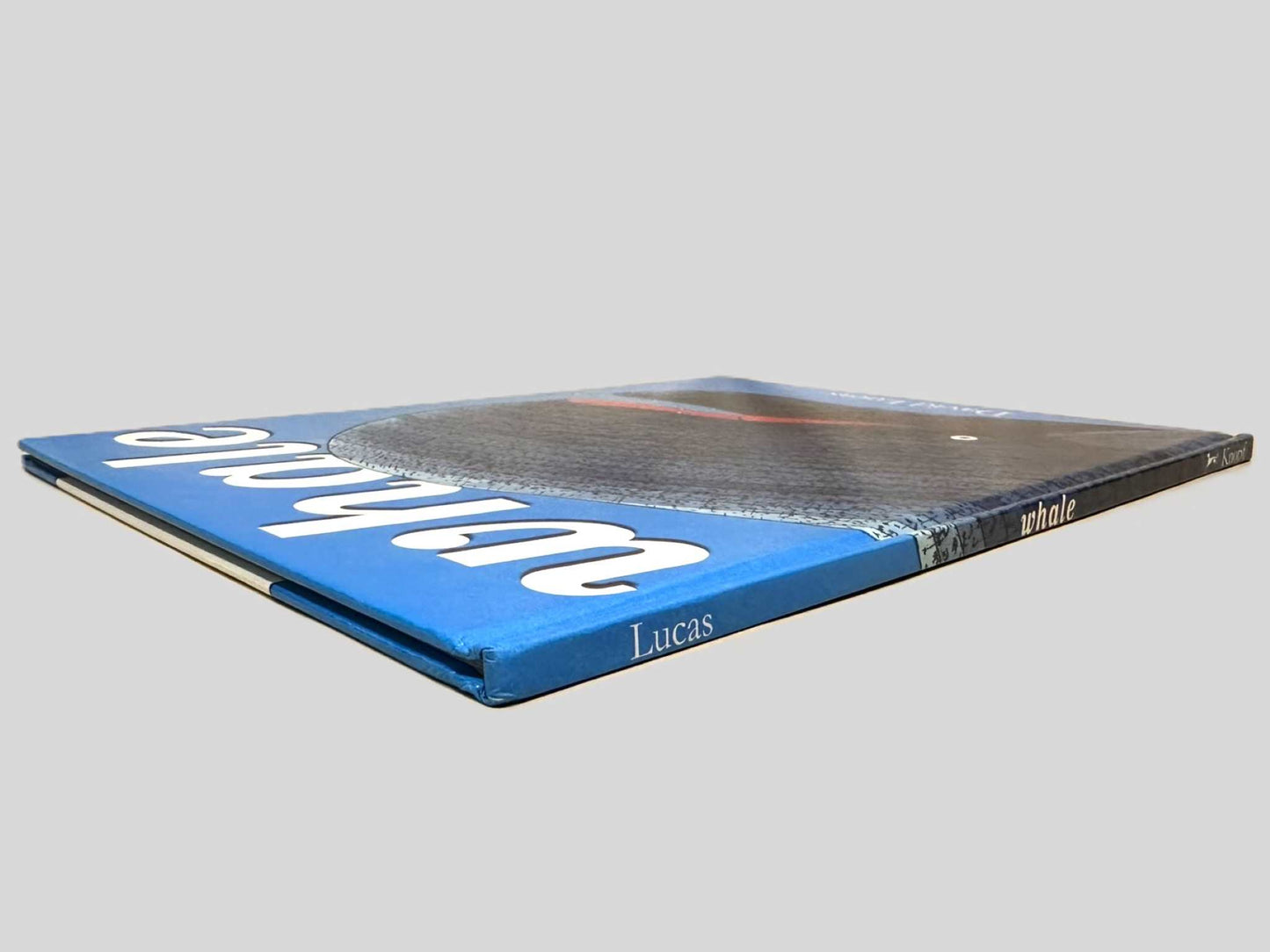 Whale by David Lucas - Fehmerling Books