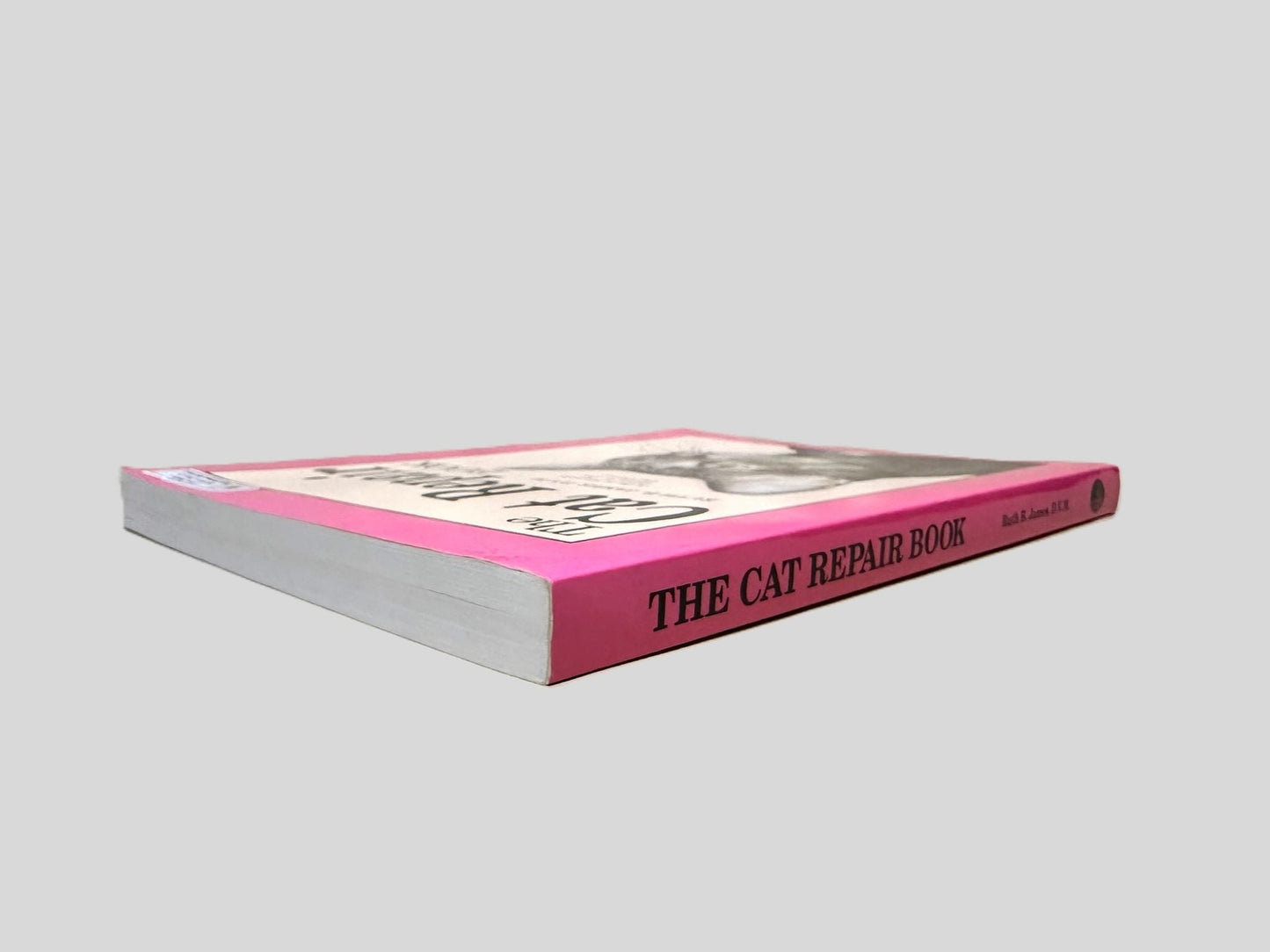 The Cat Repair Book by Ruth B. James, D.M.V.