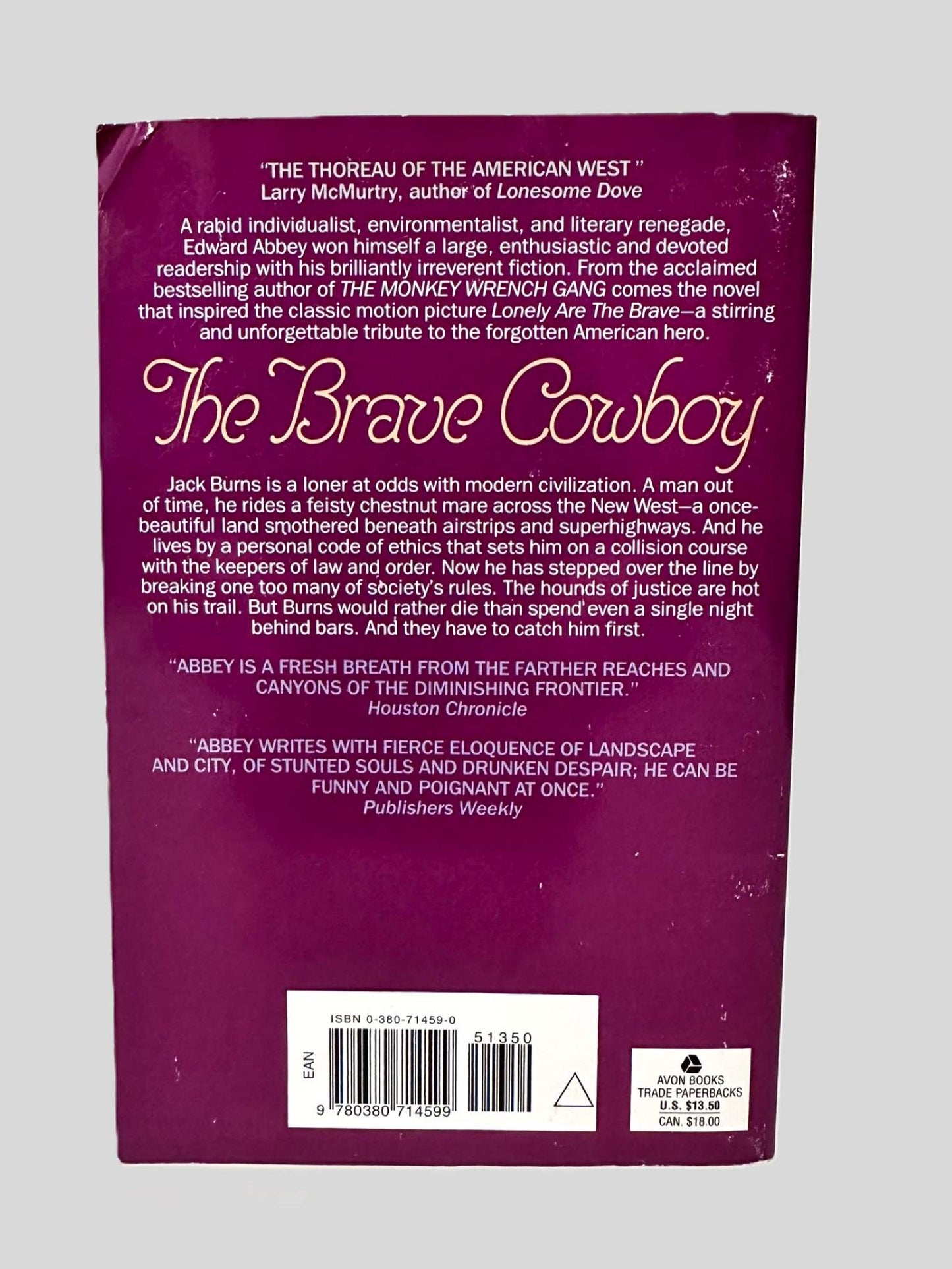 The Brave Cowboy by Edward Abbey