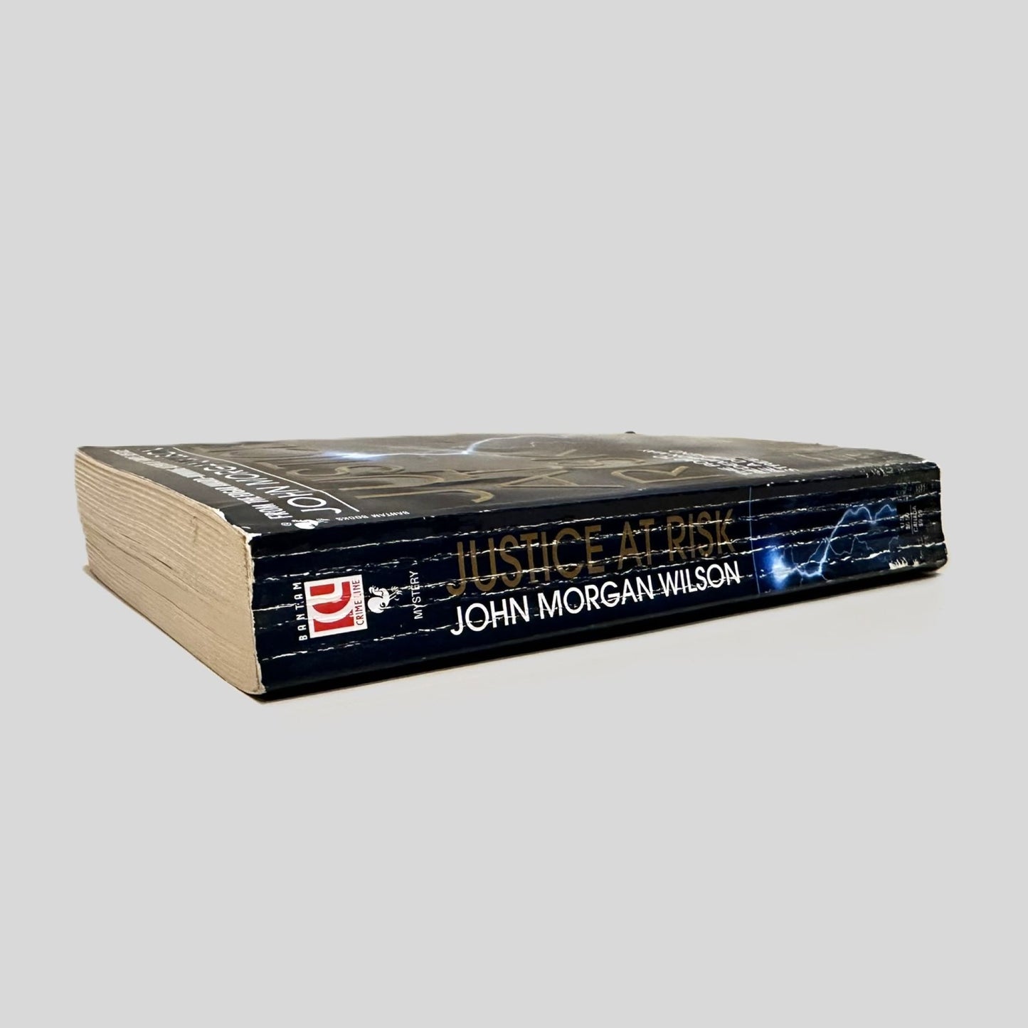 Justice at Risk by John Morgan Wilson - Fehmerling Books