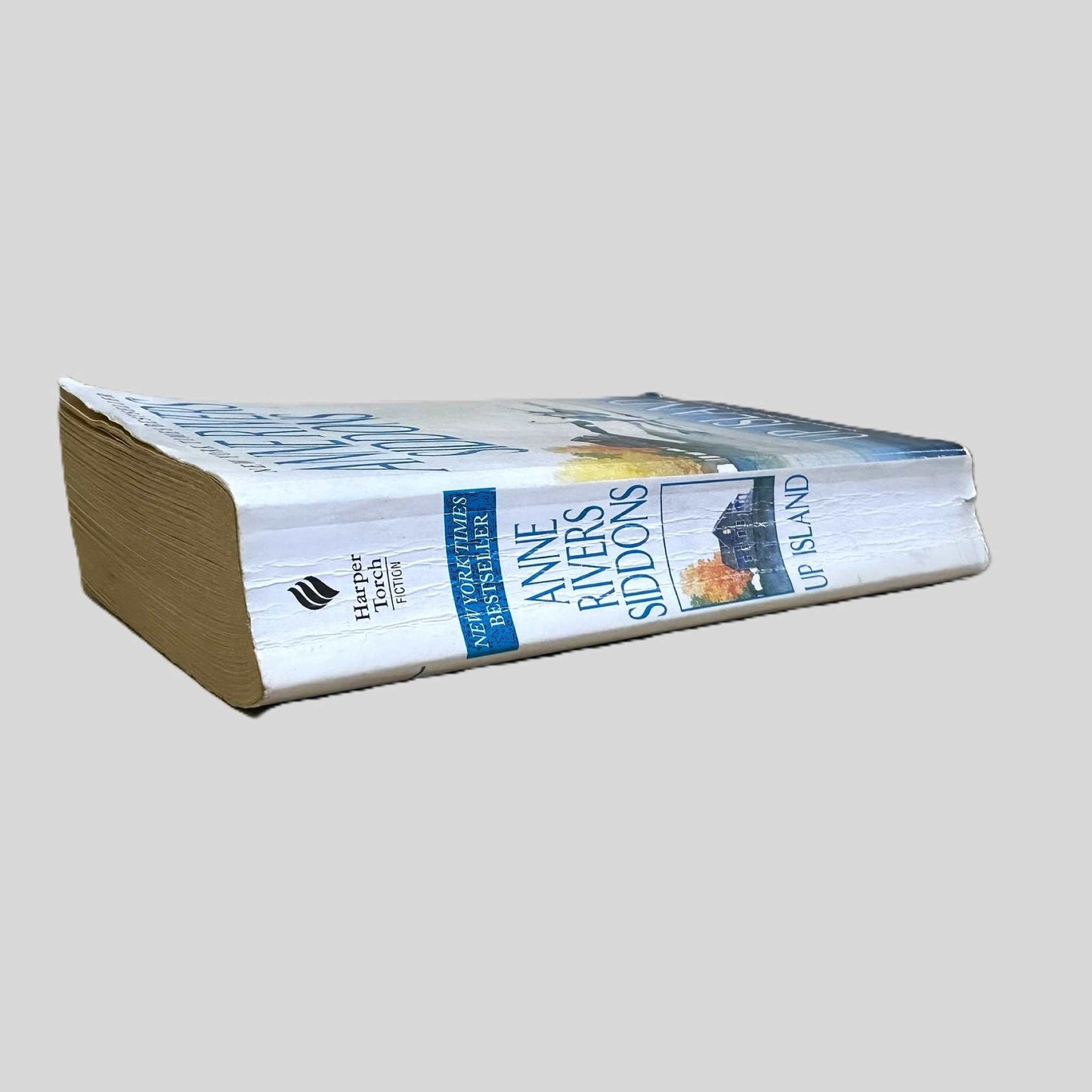 Up Island by Anne Rivers Siddons