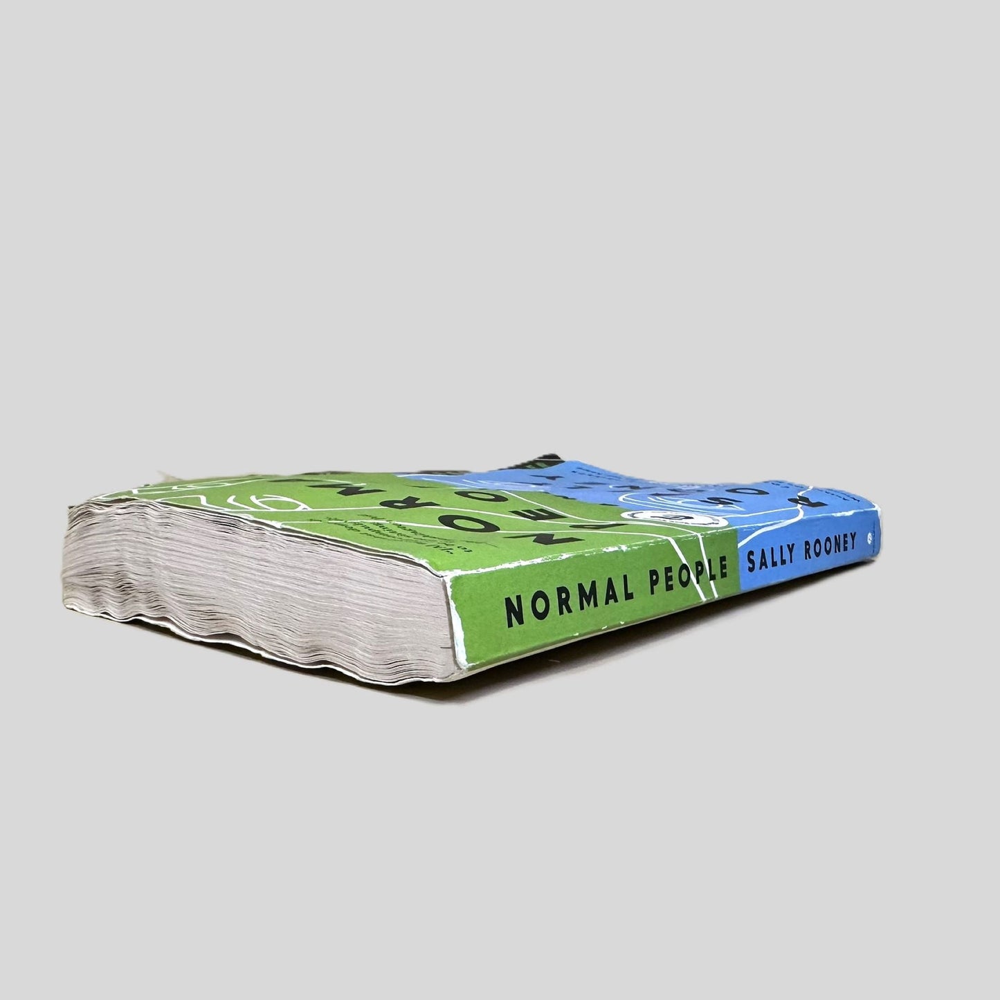 Normal People by Sally Rooney