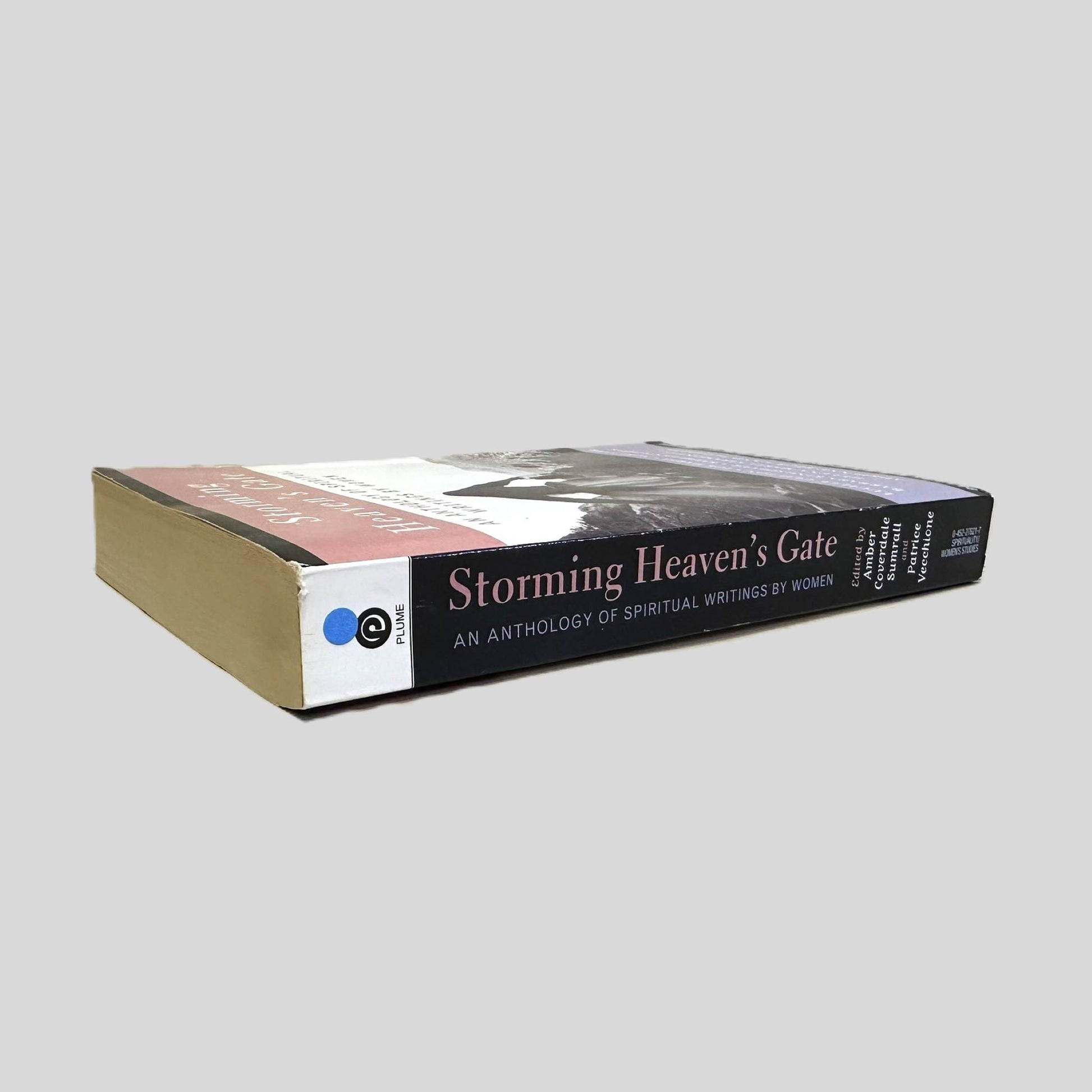 Storming Heaven's Gate: An Anthology of Spiritual Writings by Women - Book Spine