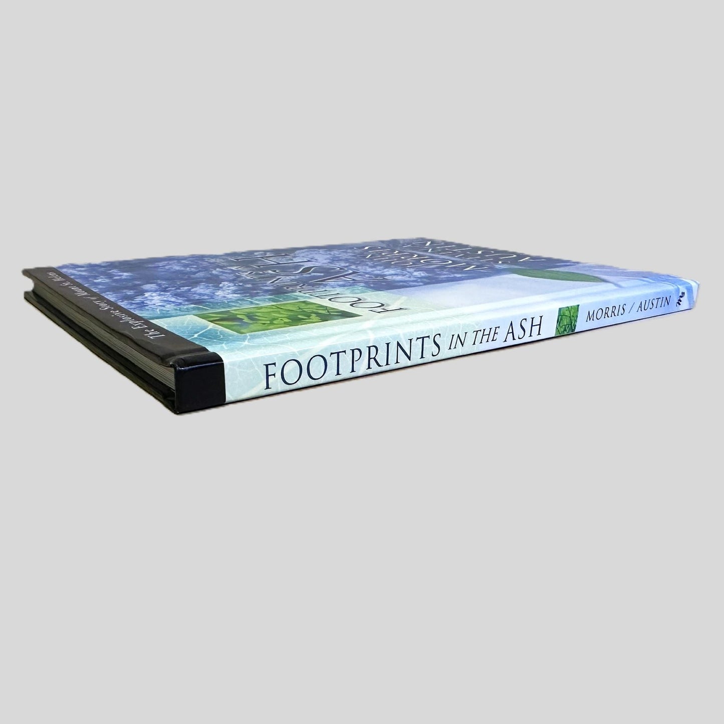 Footprints in the Ash: The Explosive Story of Mount St. Helens by Steven A. Austin - Book Spine