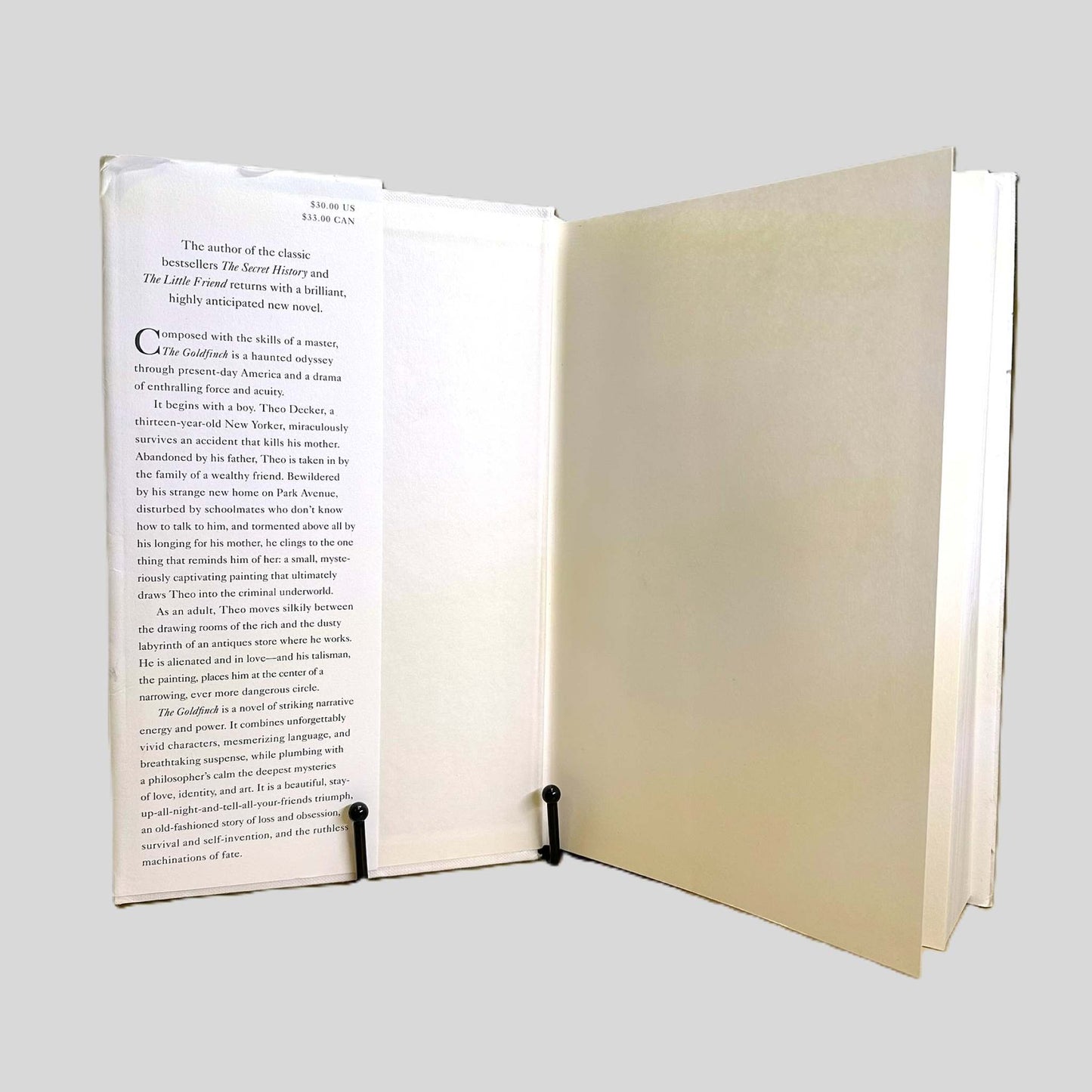 The Goldfinch by Donna Tartt - Fehmerling Books