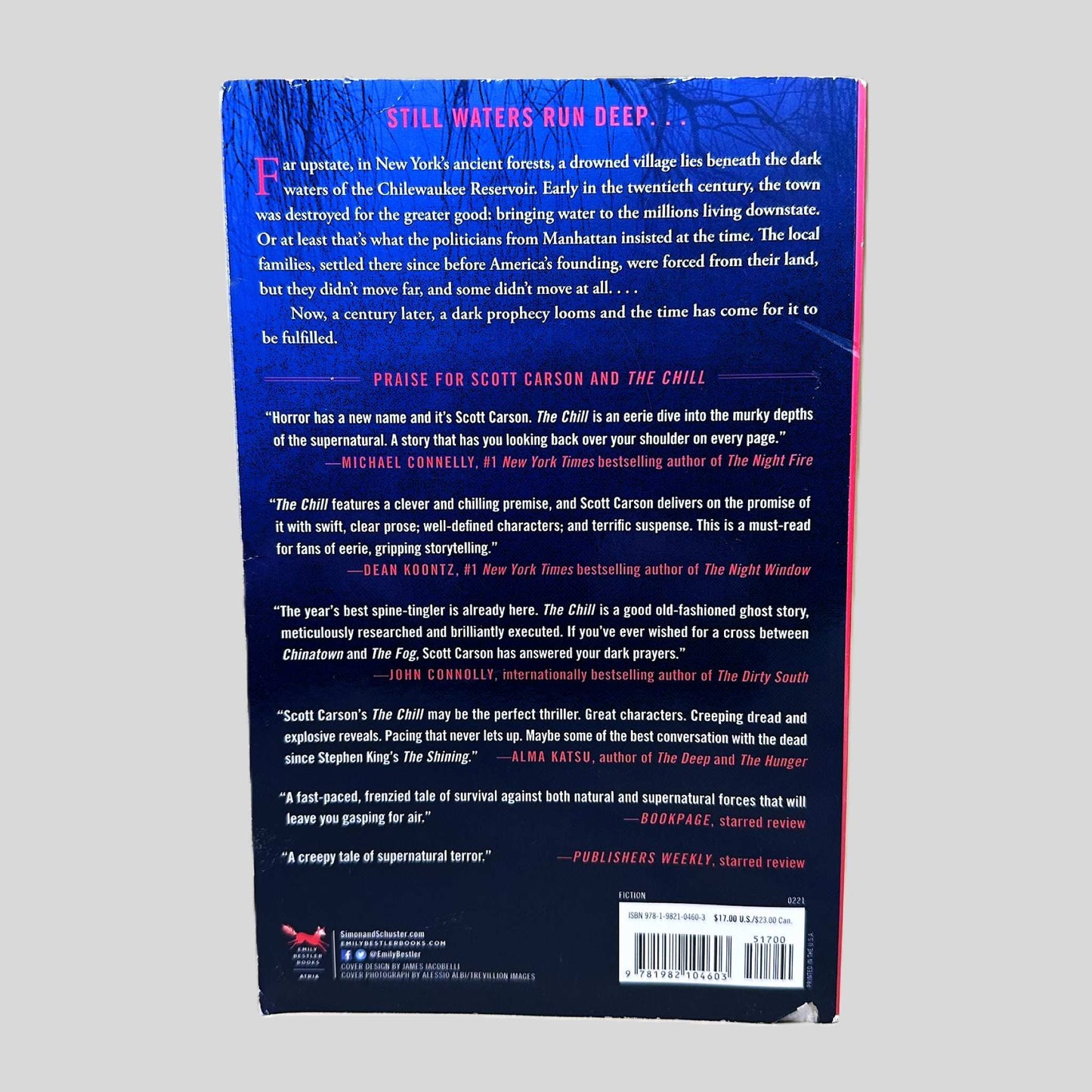 The Chill by Scott Carson - Fehmerling Books