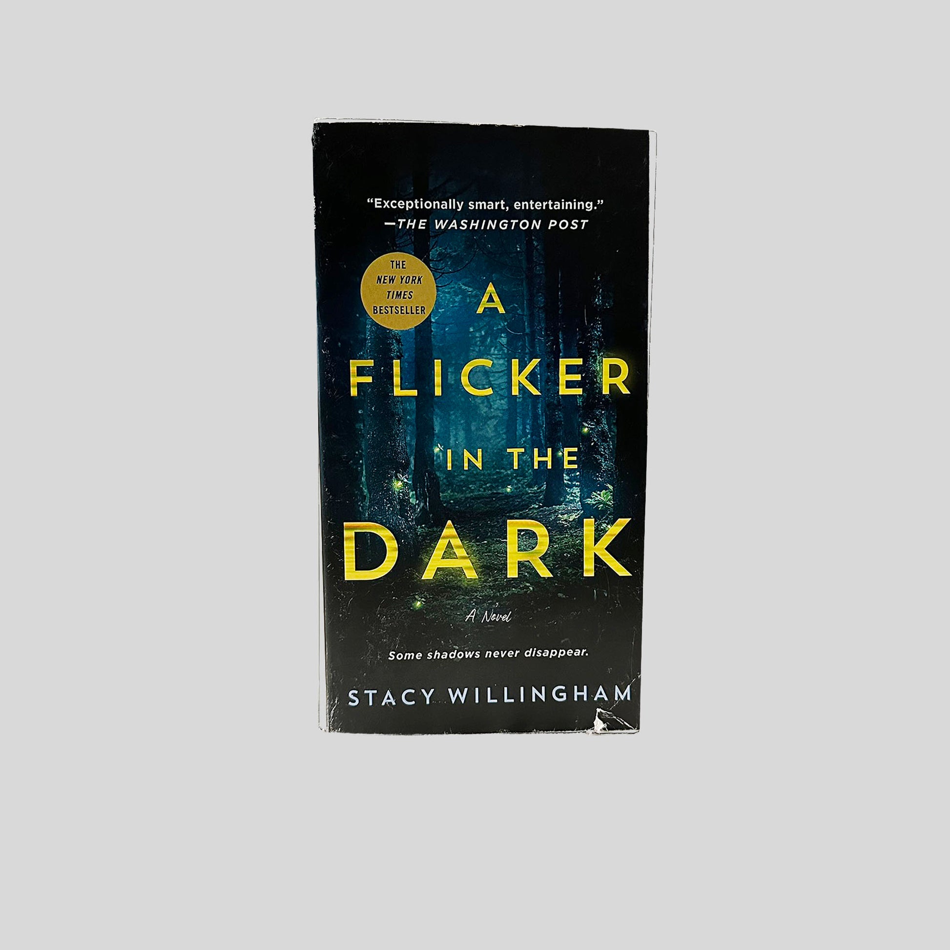 A Flicker in the Dark by Stacy Willingham - Fehmerling Books