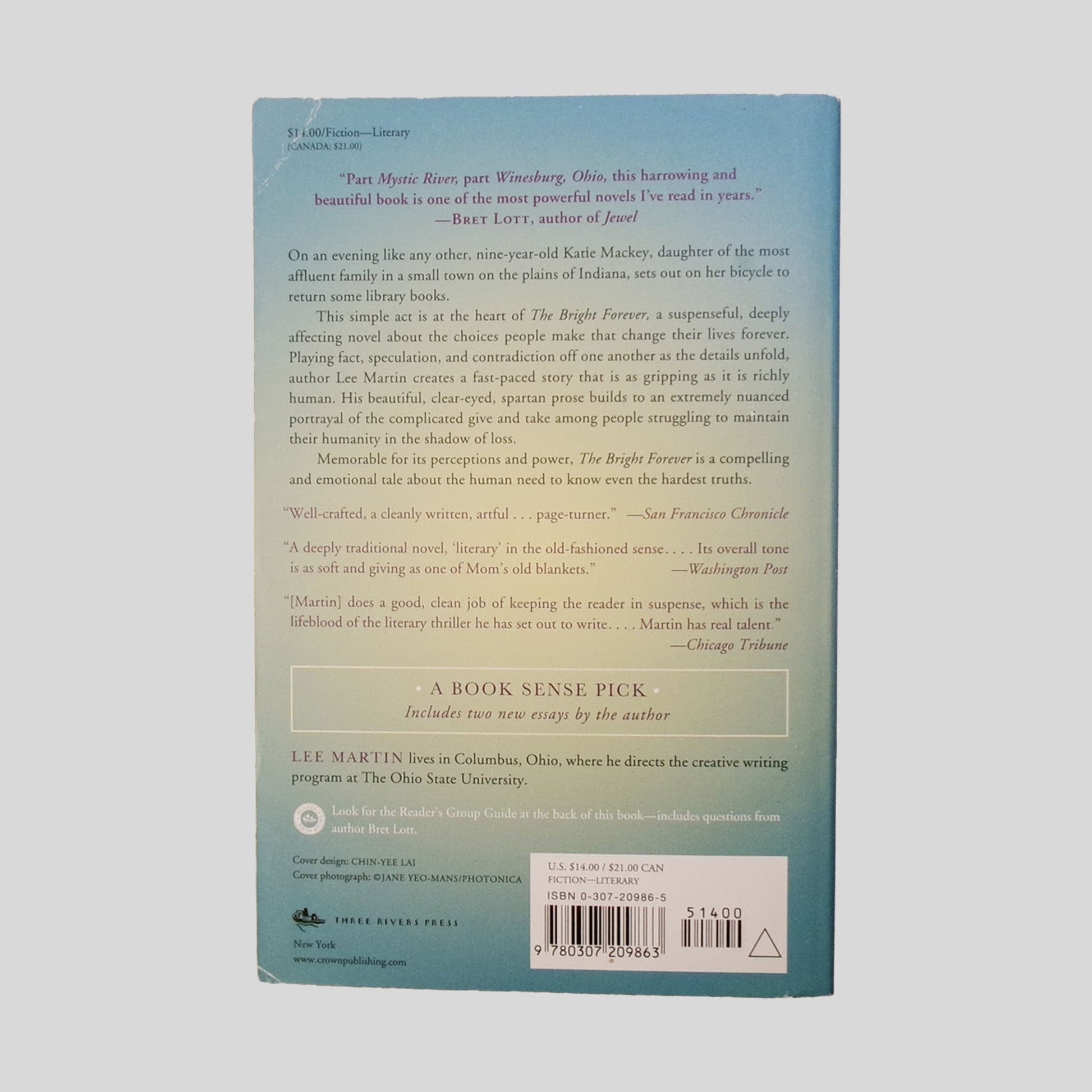 The Bright Forever by Lee Martin - Back Cover - Fehmerling Books