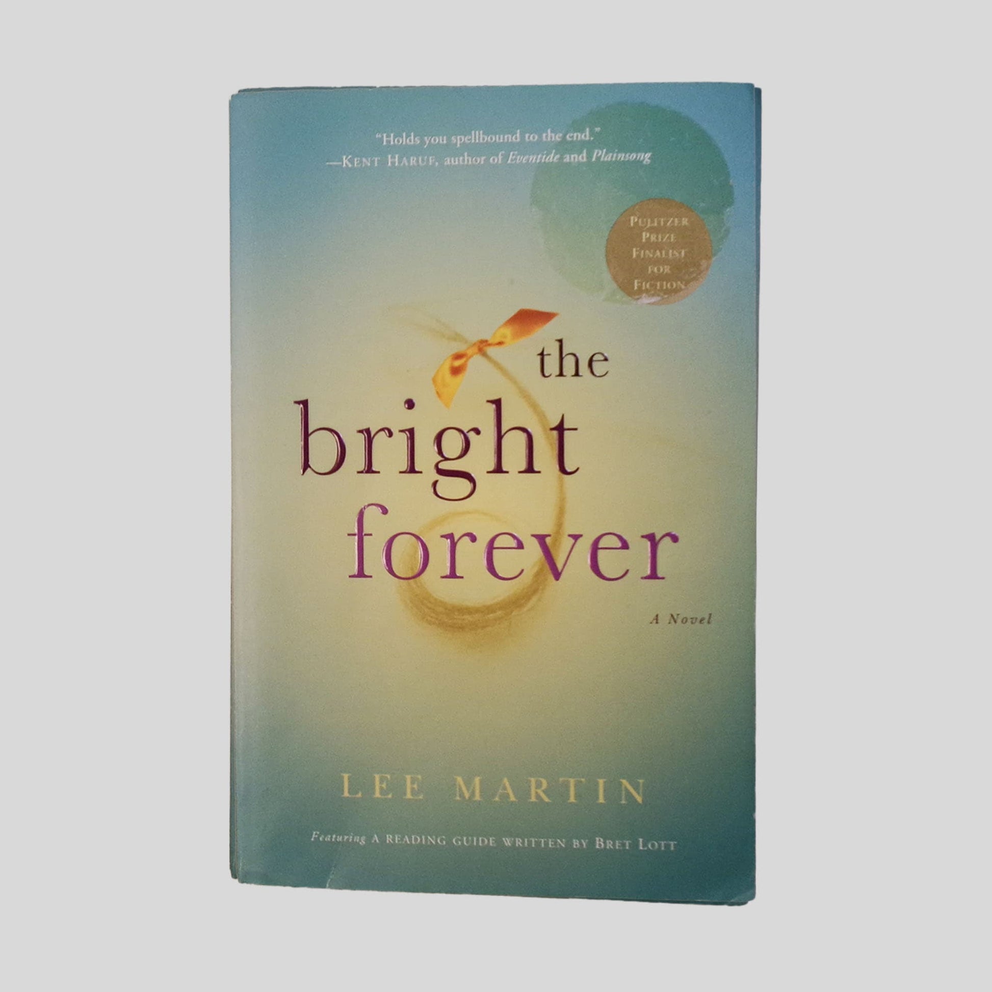 The Bright Forever by Lee Martin - Front Cover - Fehmerling Books