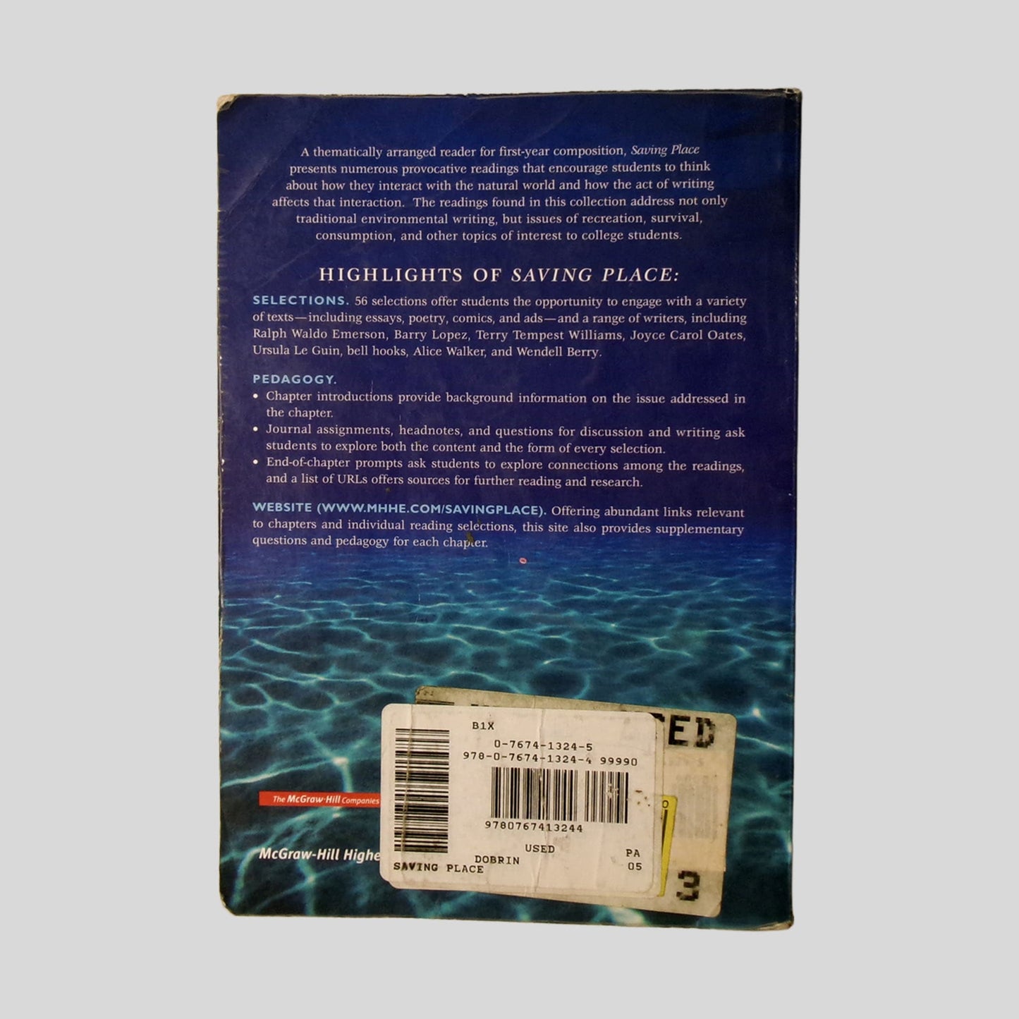 Saving Place by Sidney I. Dobrin