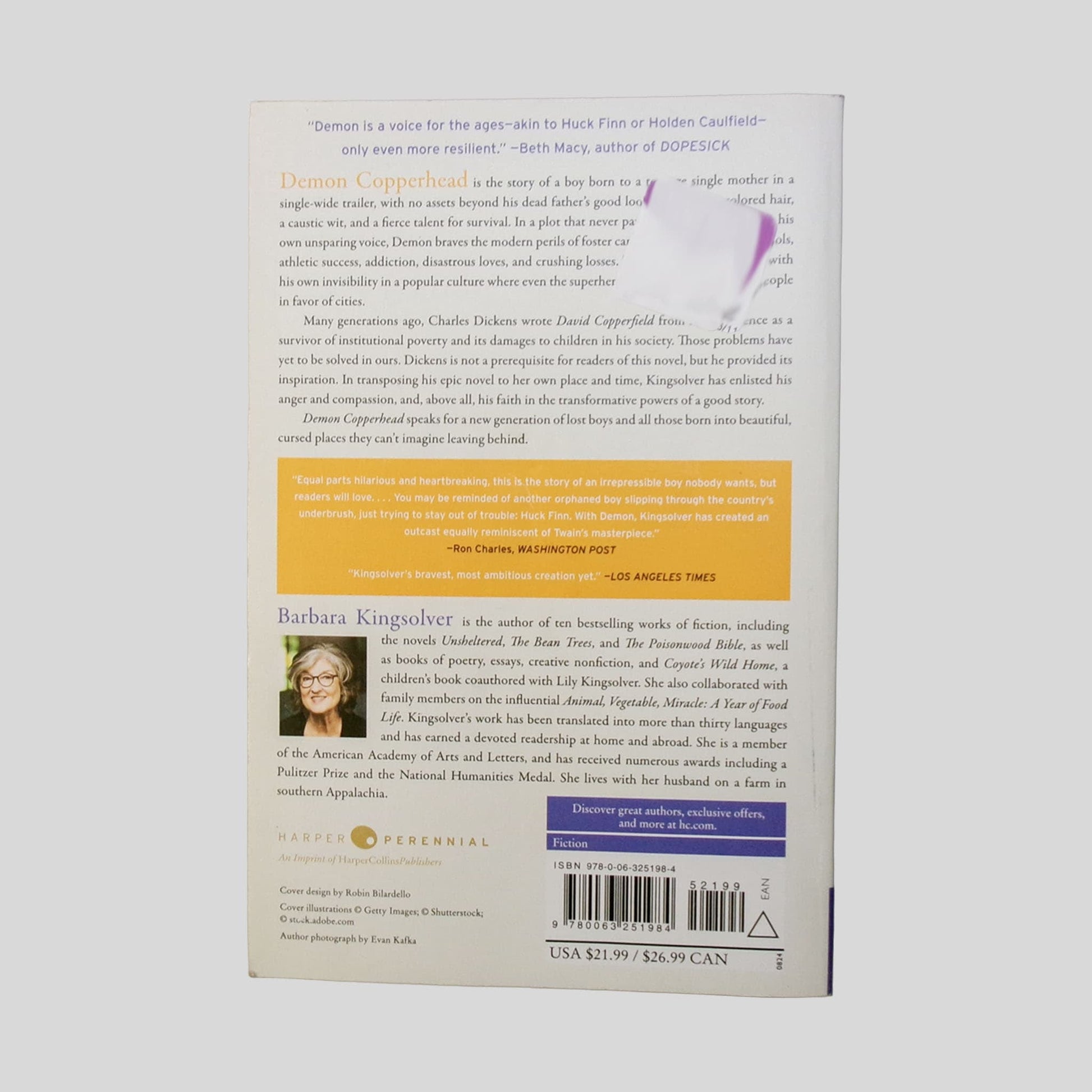 Demon Copperhead by Barbara Kingsolver - Back Cover - Fehmerling Books