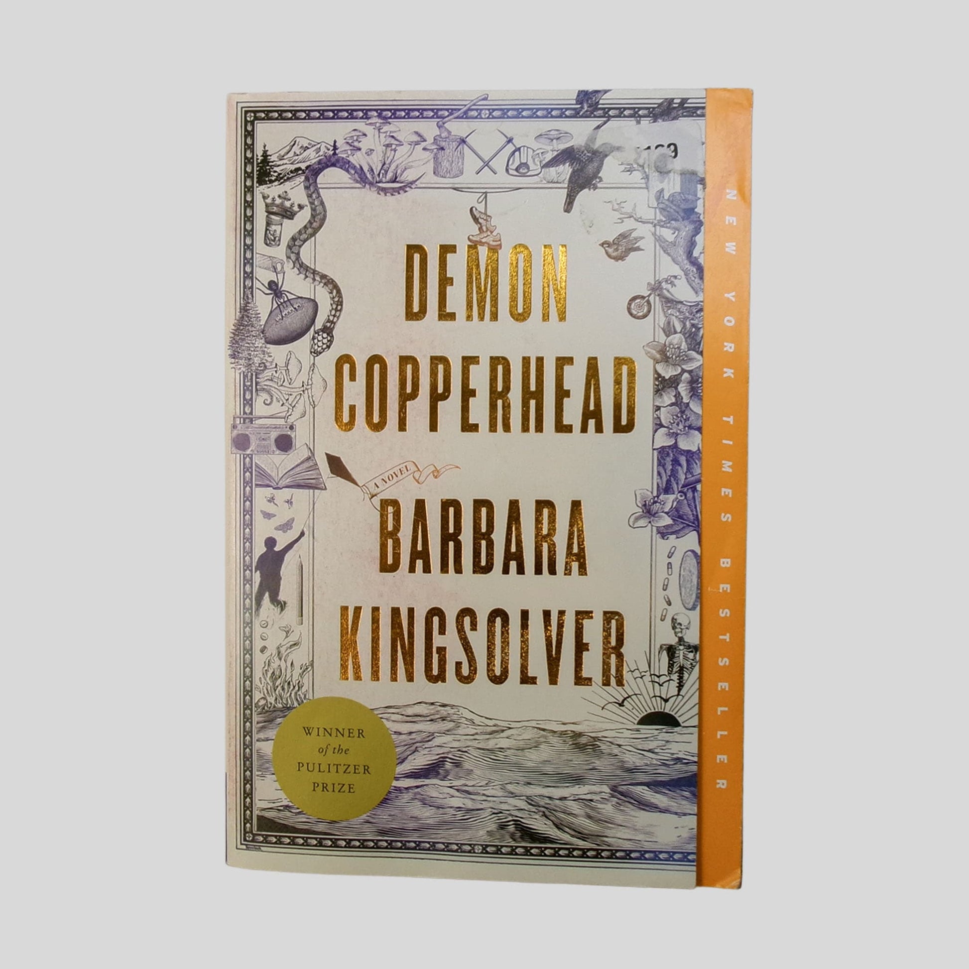 Demon Copperhead by Barbara Kingsolver - Front Cover - Fehmerling Books