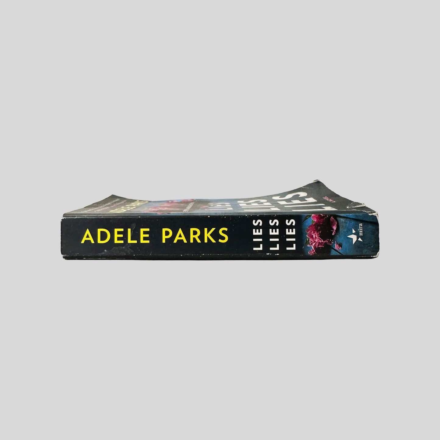 Lies Lie Lies by Adele Parks - Spine Fehmerling Books