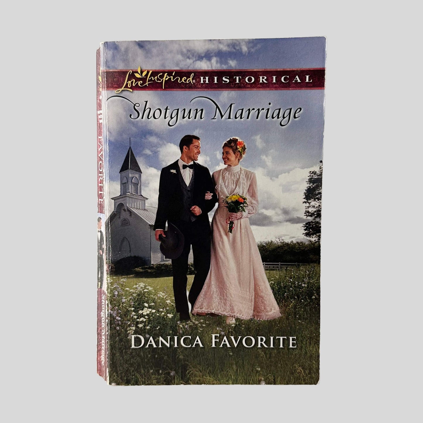 Shotgun Marriage by Danica Favorite - Front Cover - Fehmerling Books