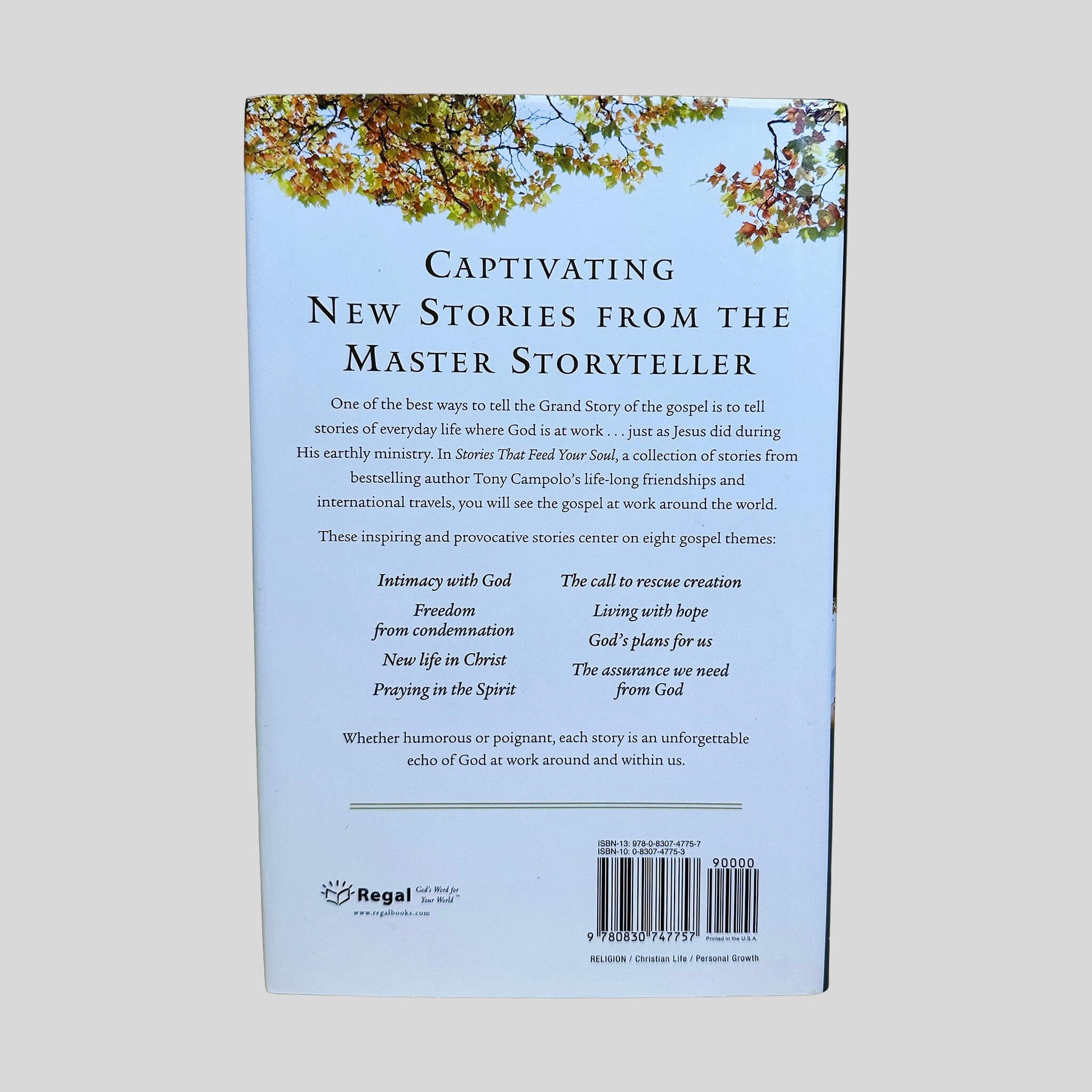 Stories That Feed Your Soul by Tony Campolo - Back Cover - Fehmerling Books