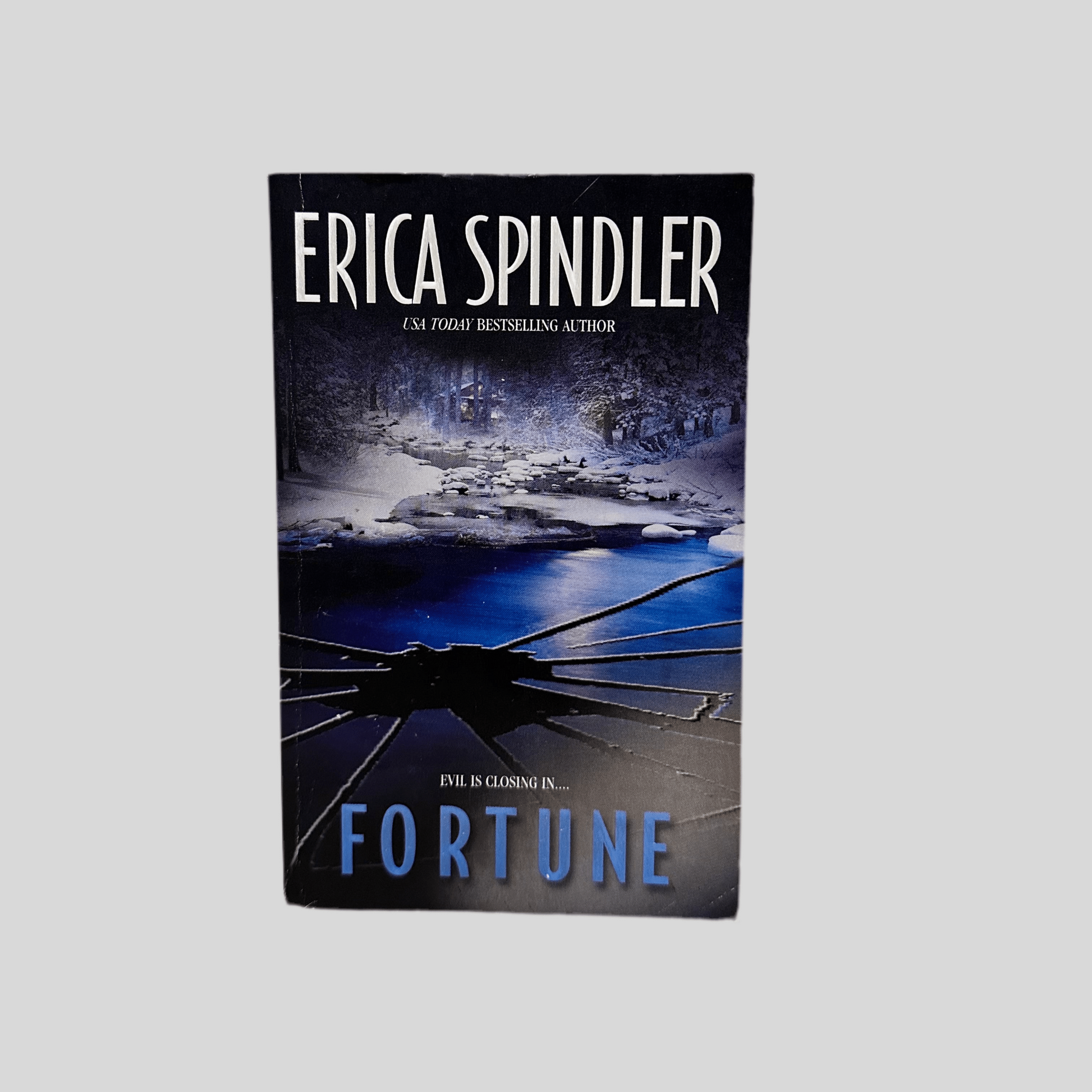 Fortune by Erica Spindler - Front Cover