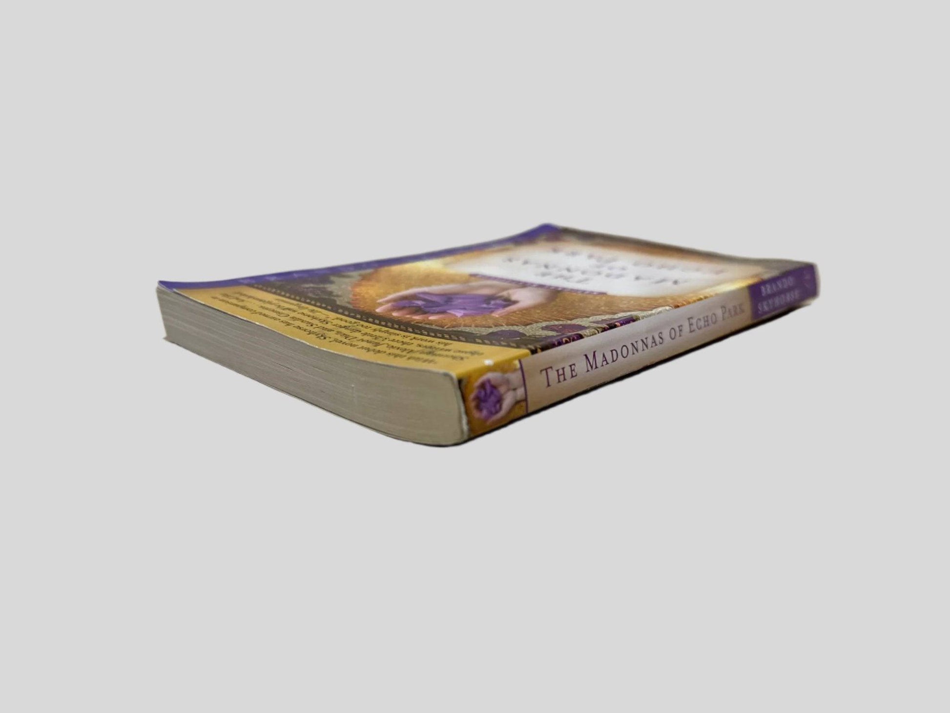 The Madonnas of Echo Park by Brando Skyhorse - Book Spine