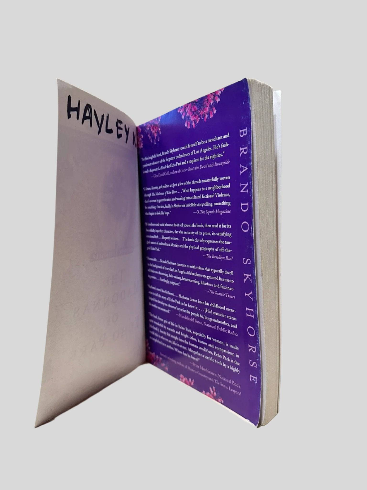 The Madonnas of Echo Park by Brando Skyhorse - Additional View