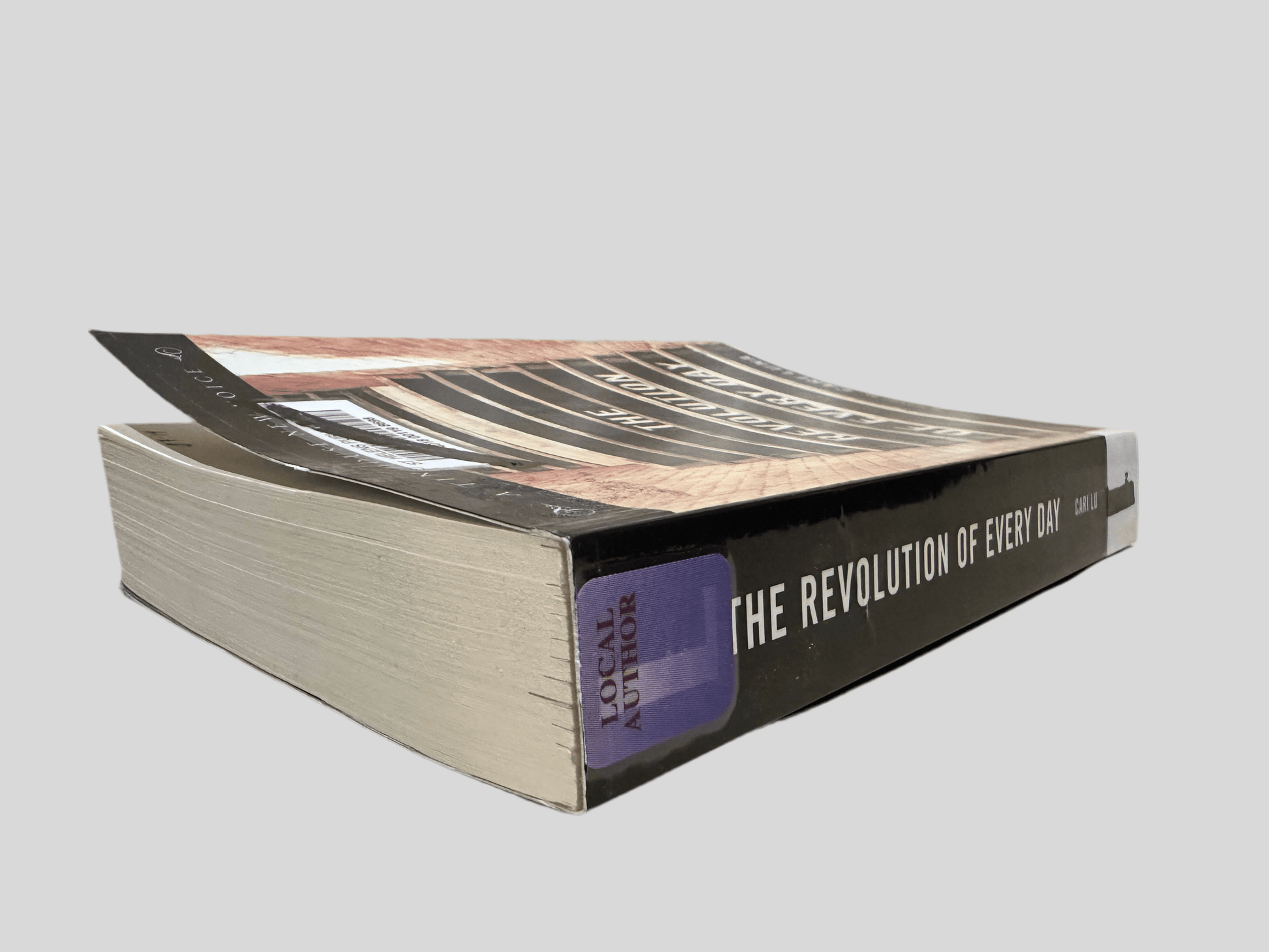 The Revolution of Every Day by Cari Luna - Book Spine