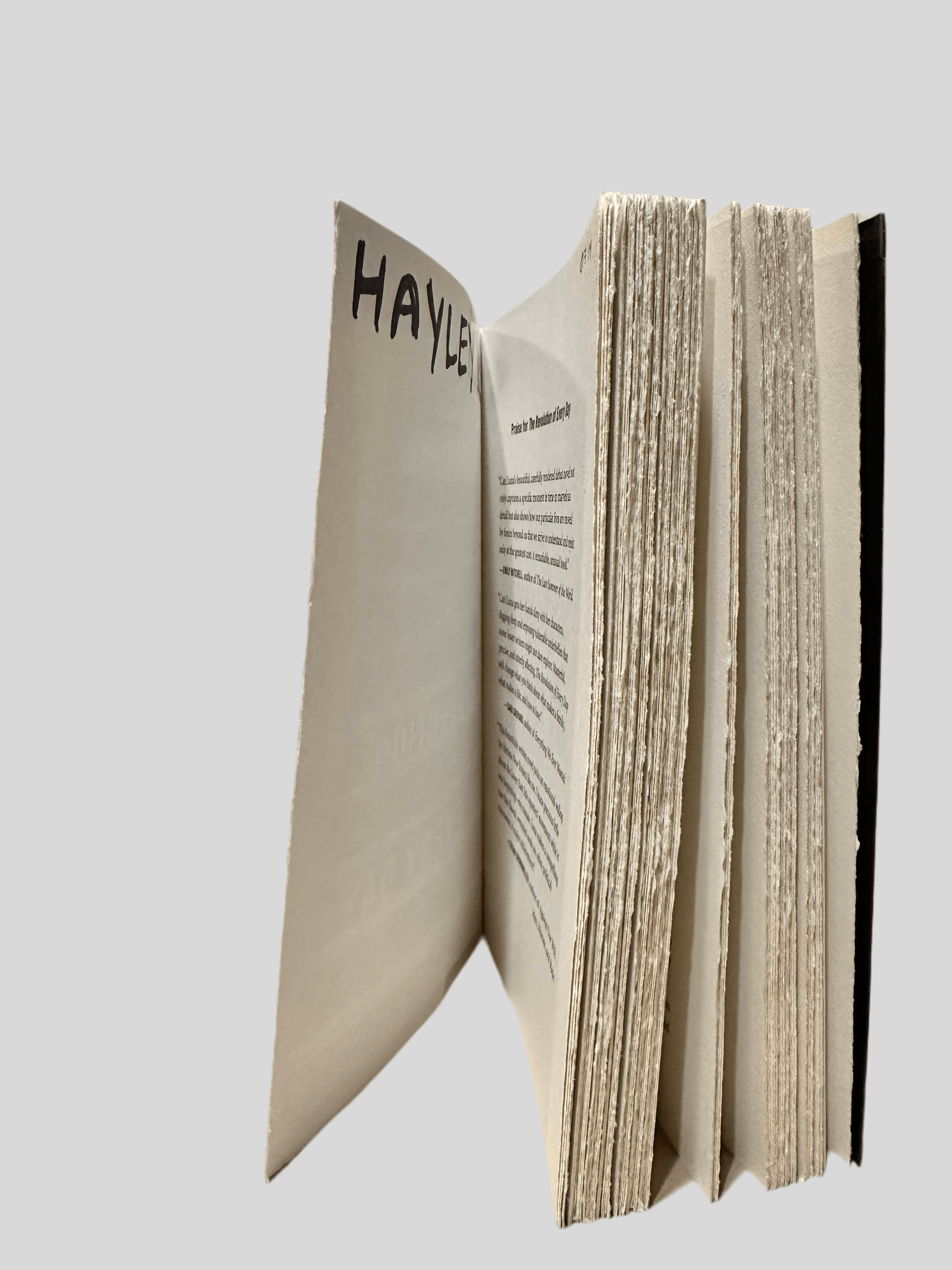 The Revolution of Every Day by Cari Luna - Additional View