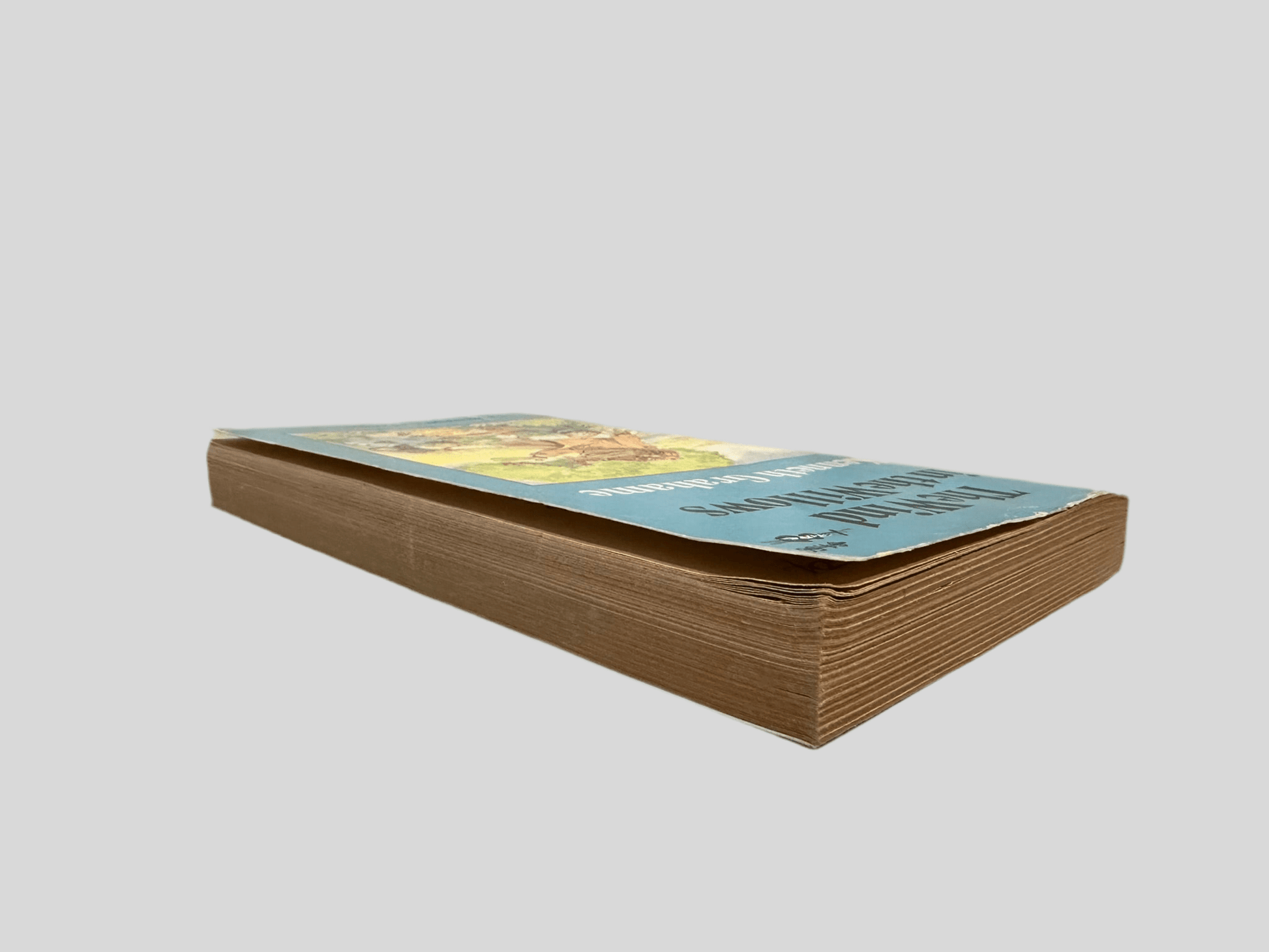 The Wind in the Willows by Kenneth Grahame - Additional View