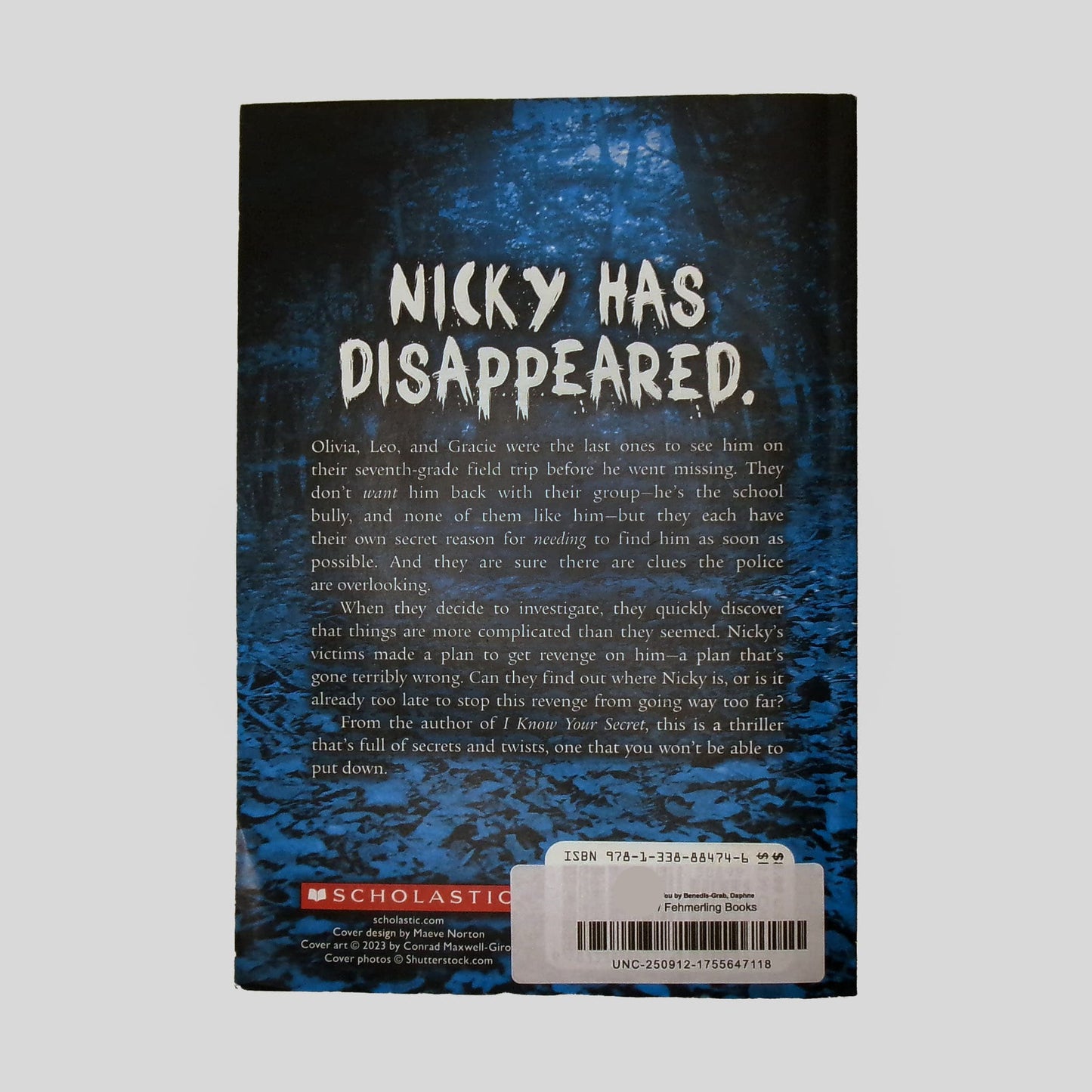 The back cover of the suspenseful thriller 'I Will Find You' by Daphne Benedis-Grab, featuring the bold, distressed headline 'NICKY HAS DISAPPEARED'. Set against a dark, cinematic background, the text outlines a high-stakes mystery involving a school bully's disappearance during a class trip. This professional product shot from Fehmerling Books captures the gripping and mysterious tone that thriller readers love.