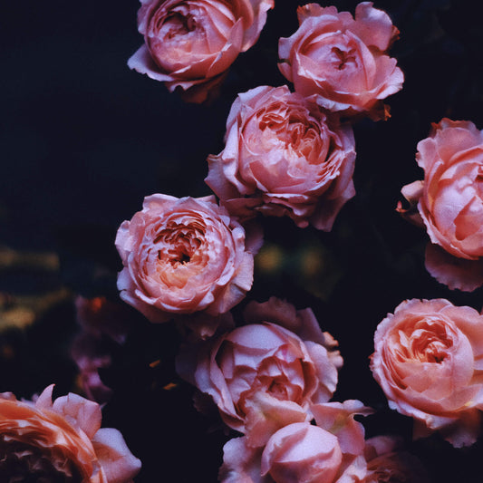 Strange Legacies: An October Reading Guide to Gothic Romance