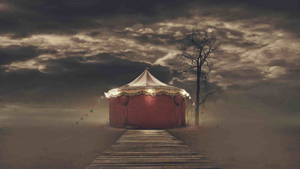 Smoke, Fog, & Magic: A Sensory Guide to The Night Circus