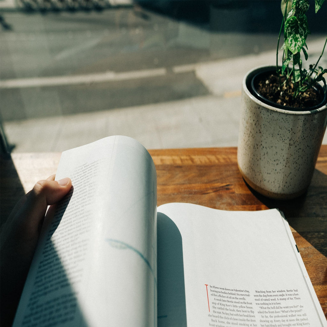 Finding Your Quiet Harmony: From Heartfelt Romance to Inner Peace