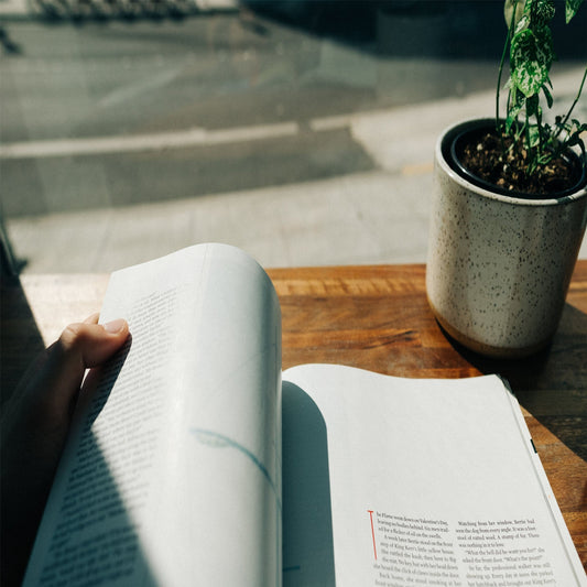 Finding Your Quiet Harmony: From Heartfelt Romance to Inner Peace
