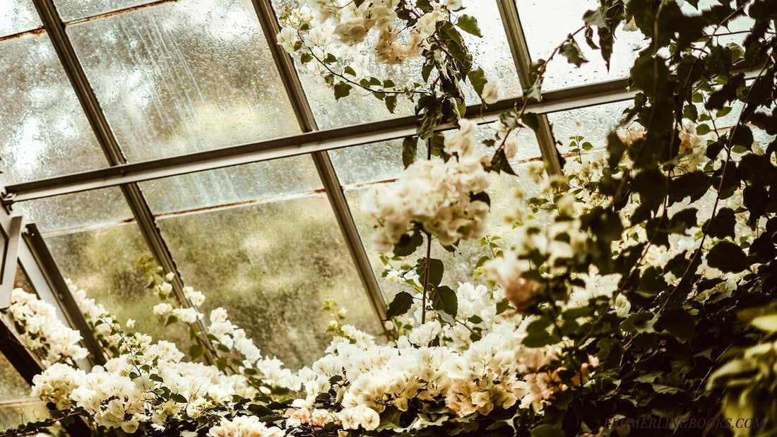 Floral decorations inside a greenhouse with a glass ceiling