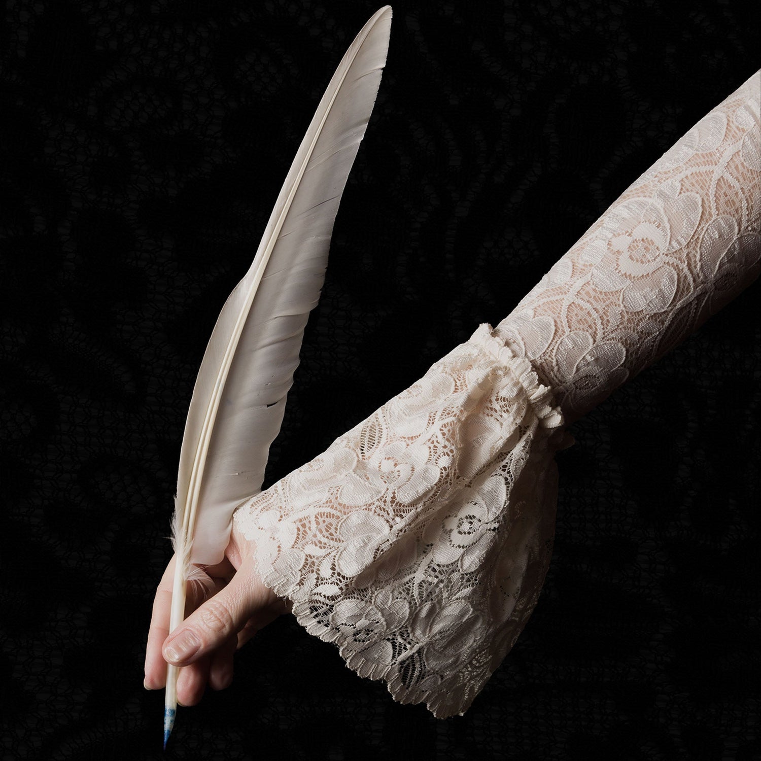 Hand in a vintage cream lace sleeve holds a white feather quill against a dark, textured background. This gothic Dark Academia image for the Shadows and Lace collection captures a moody, scholarly aesthetic with poetic elegance.