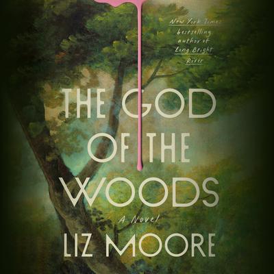 Book cover for 'The God of the Woods' by Liz Moore, featuring a dark forest scene with large white title text and a vertical pink paint-like streak running down the center.