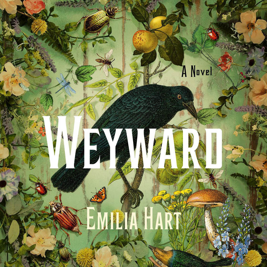 Book cover of 'Weyward' by Emilia Hart with a bird, flowers, and insects.