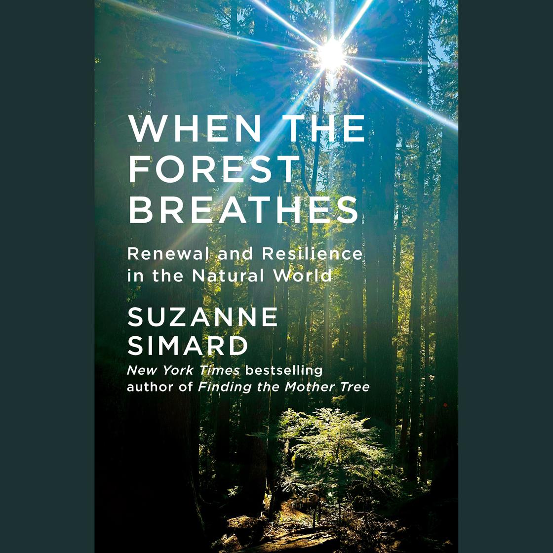 Book cover of 'When the Forest Breathes' with a forest scene and sunlight filtering through trees.