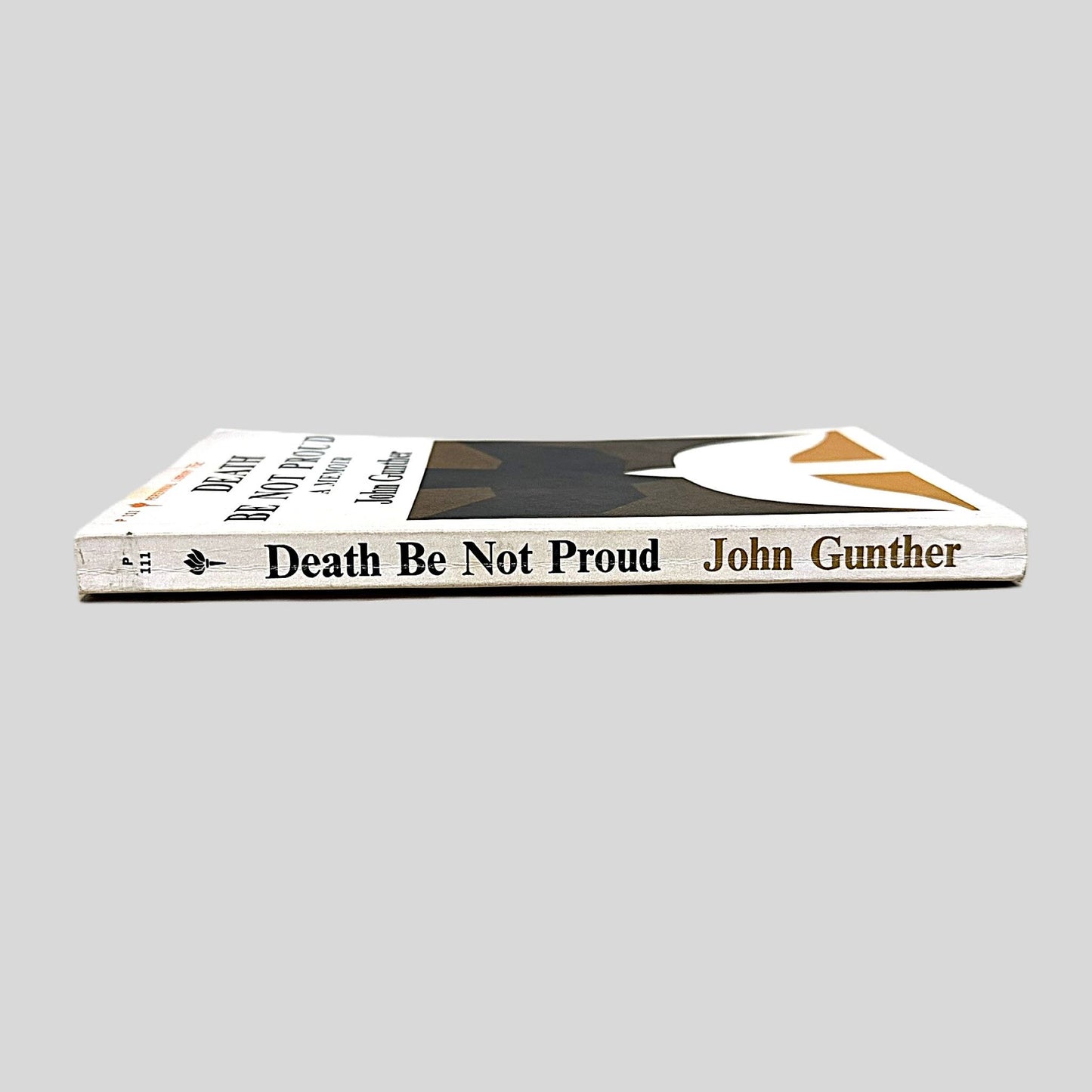 Death Be Not Proud by John Gunther