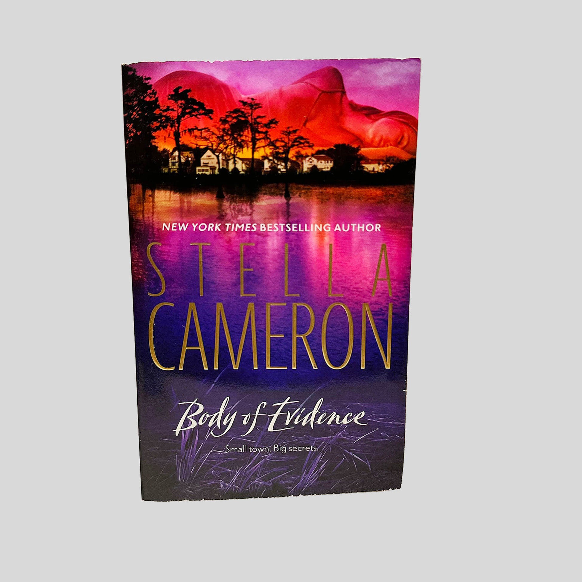 Front cover view of Body of Evidence by Stella Cameron centered on a neutral light gray background. Some minor chipping along the top edge of the book cover.