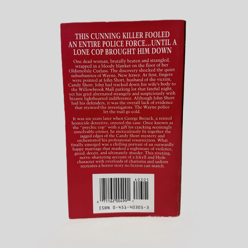 Back cover view of Buried Mistakes by Michael Kaplan centered on a neutral light gray background. 