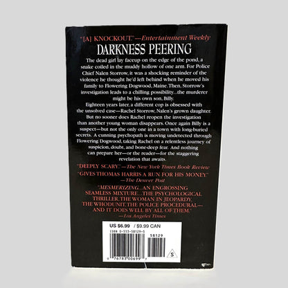 Back cover view of Darkness Peering by Alice Blanchard centered on a neutral light gray background. 