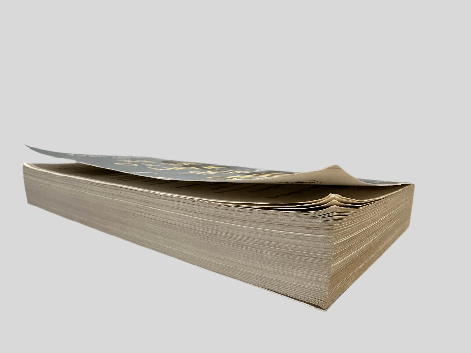 Close-up page edge view of Everything You Want Me To Be by Mindy Mejia centered on a neutral light gray background. Top few pages are creased on the corners. The remaining pages lay flat.